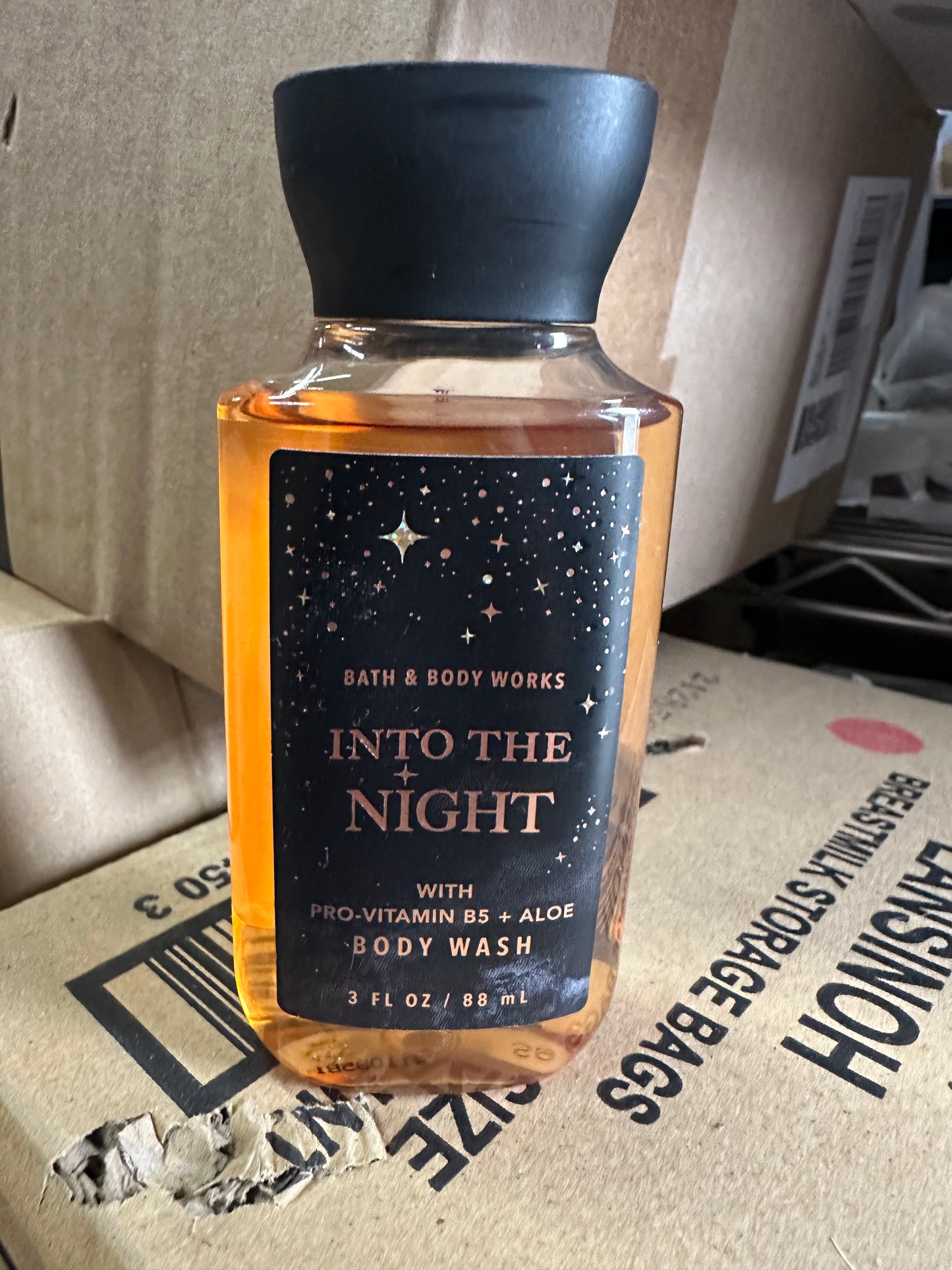 Into The Night Body Wash (3 ounce)