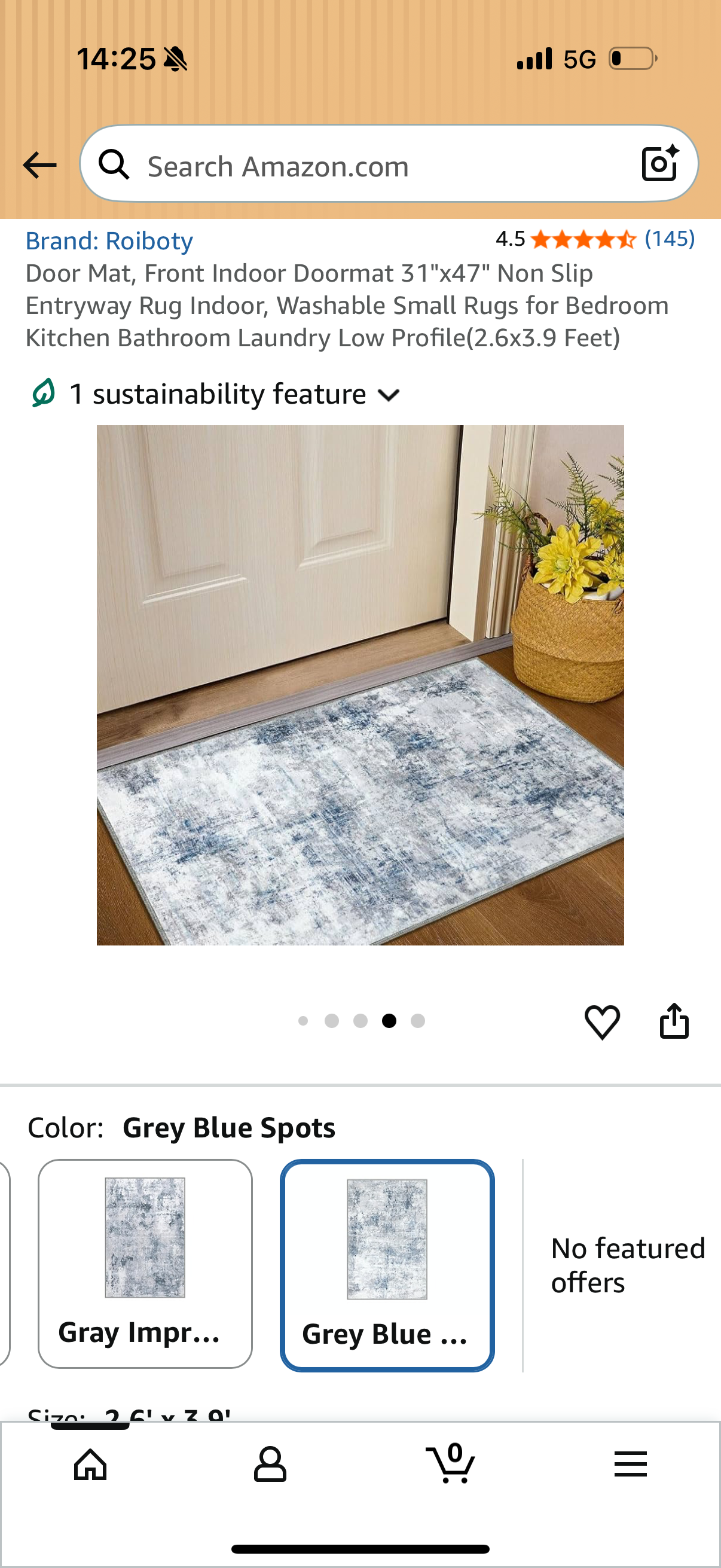 Door Mat, Front Indoor Doormat 31"x47" Non Slip Entryway Rug Indoor, Washable Small Rugs for Bedroom Kitchen Bathroom Laundry Low Profile(2.6x3.9 Feet)