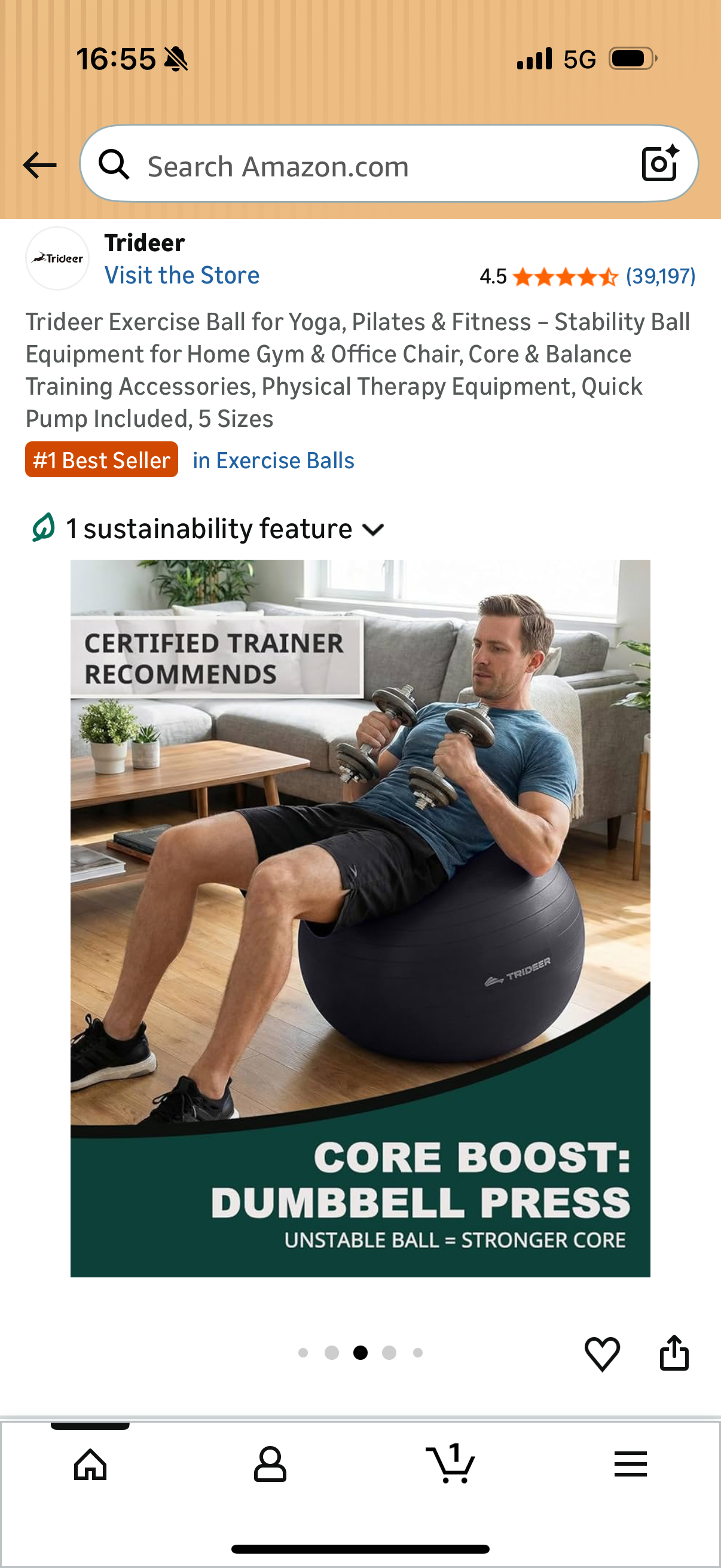 Trideer Exercise Ball for Yoga, Pilates & Fitness – Stability Ball Equipment for Home Gym & Office Chair, Core & Balance Training Accessories, Physical Therapy Equipment, Quick Pump Included, 65cm
