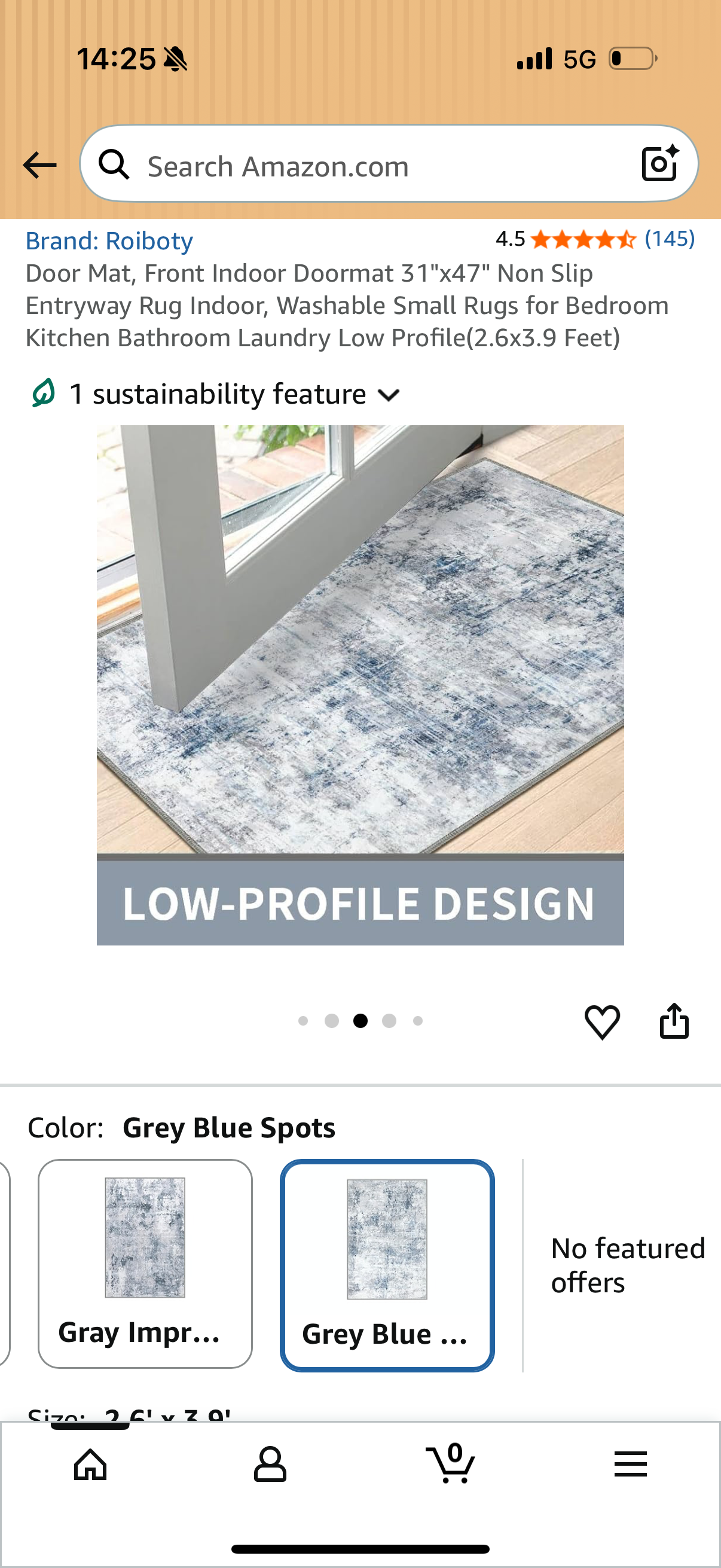 Door Mat, Front Indoor Doormat 31"x47" Non Slip Entryway Rug Indoor, Washable Small Rugs for Bedroom Kitchen Bathroom Laundry Low Profile(2.6x3.9 Feet)