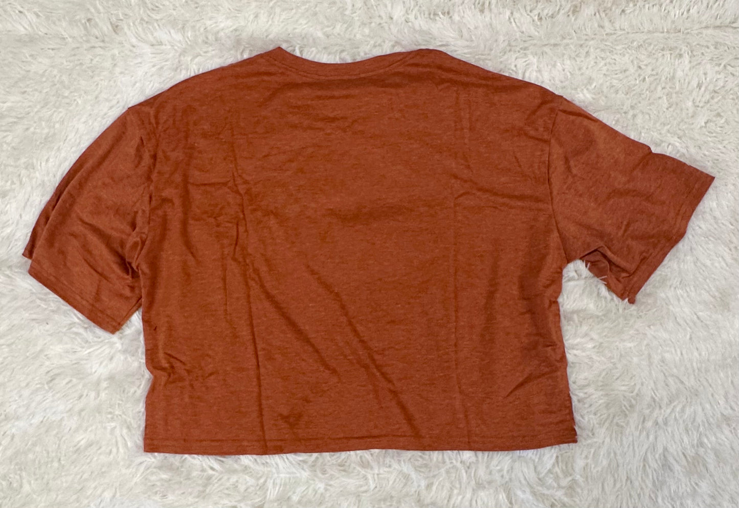 Women’s Loose Fit Casual Crop Top Pumpkin Graphic Tee (Size Large)