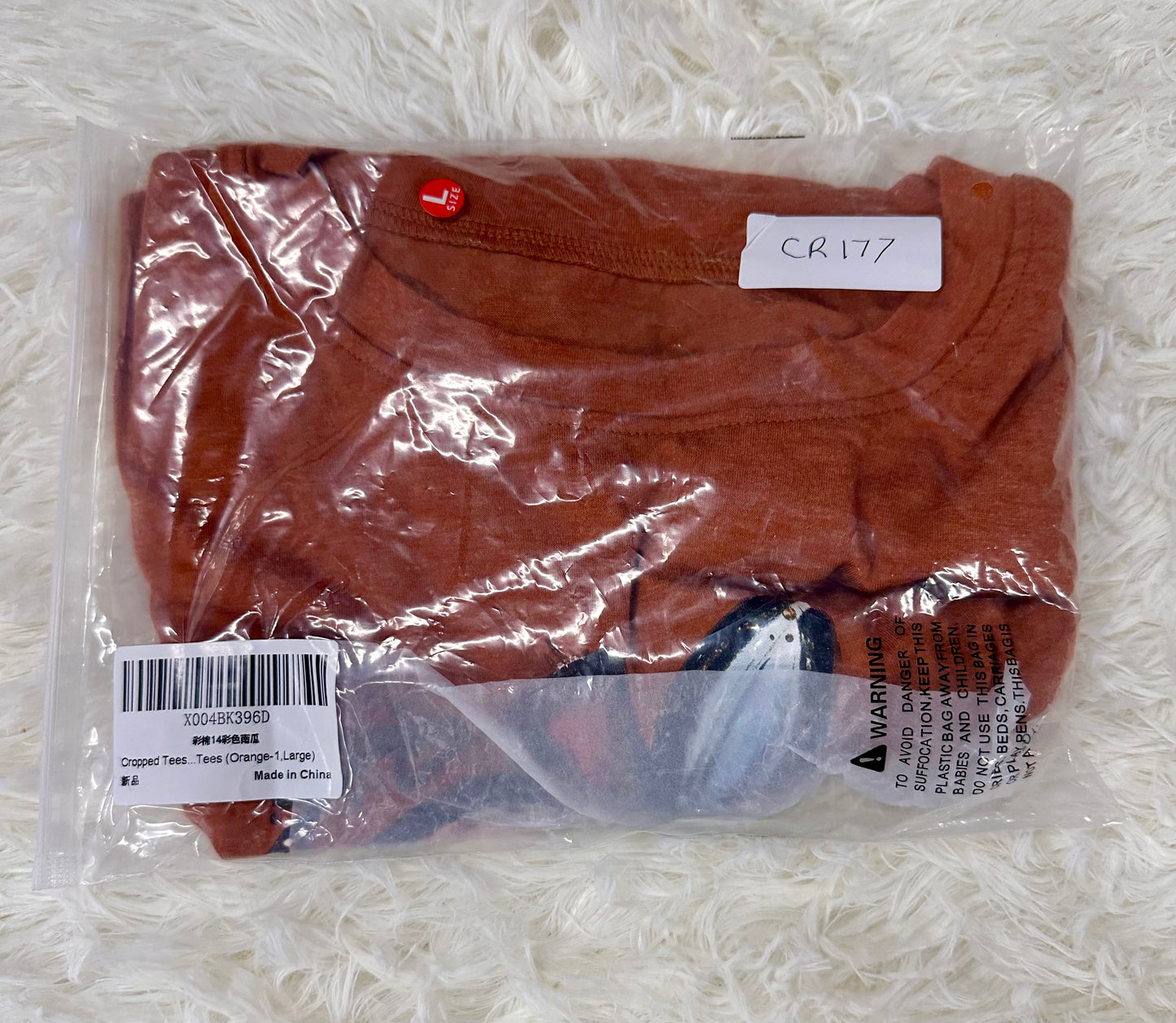 Women’s Loose Fit Casual Crop Top Pumpkin Graphic Tee (Size Large)