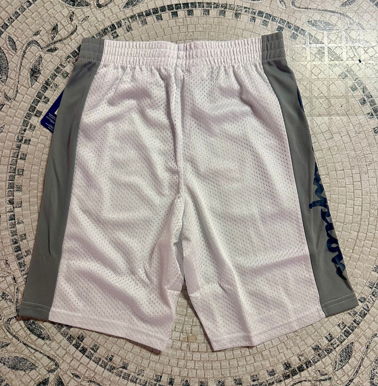 Champion Boys Shorts Athletic Mesh Basketball Shorts for Boys (Size Youth Medium)