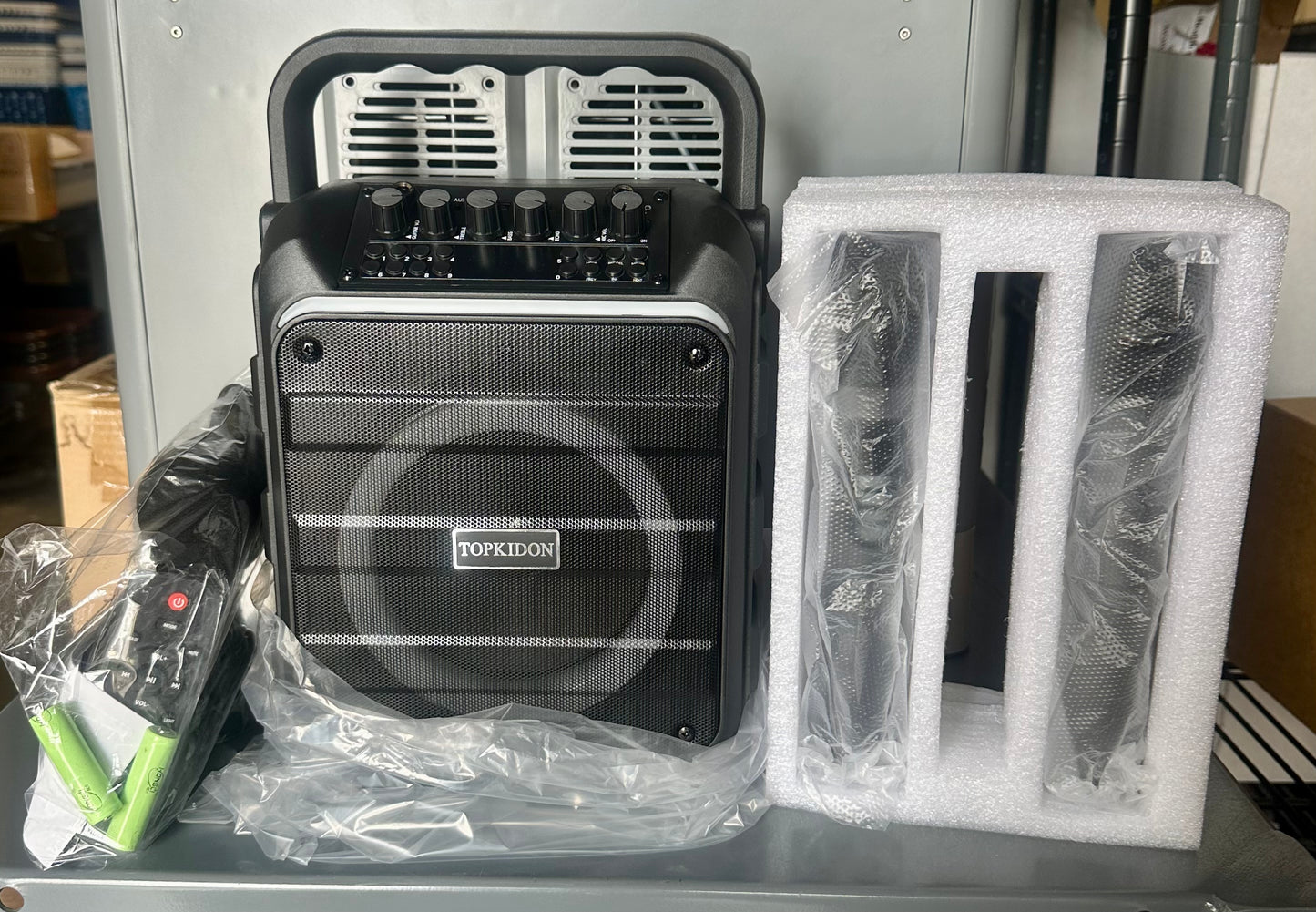 Karaoke Machine with Two Wireless Microphones, Portable Karaoke Speaker with LED Lights, Remite, Supports TF Card/USB, AUX in, FM, REC, TWS