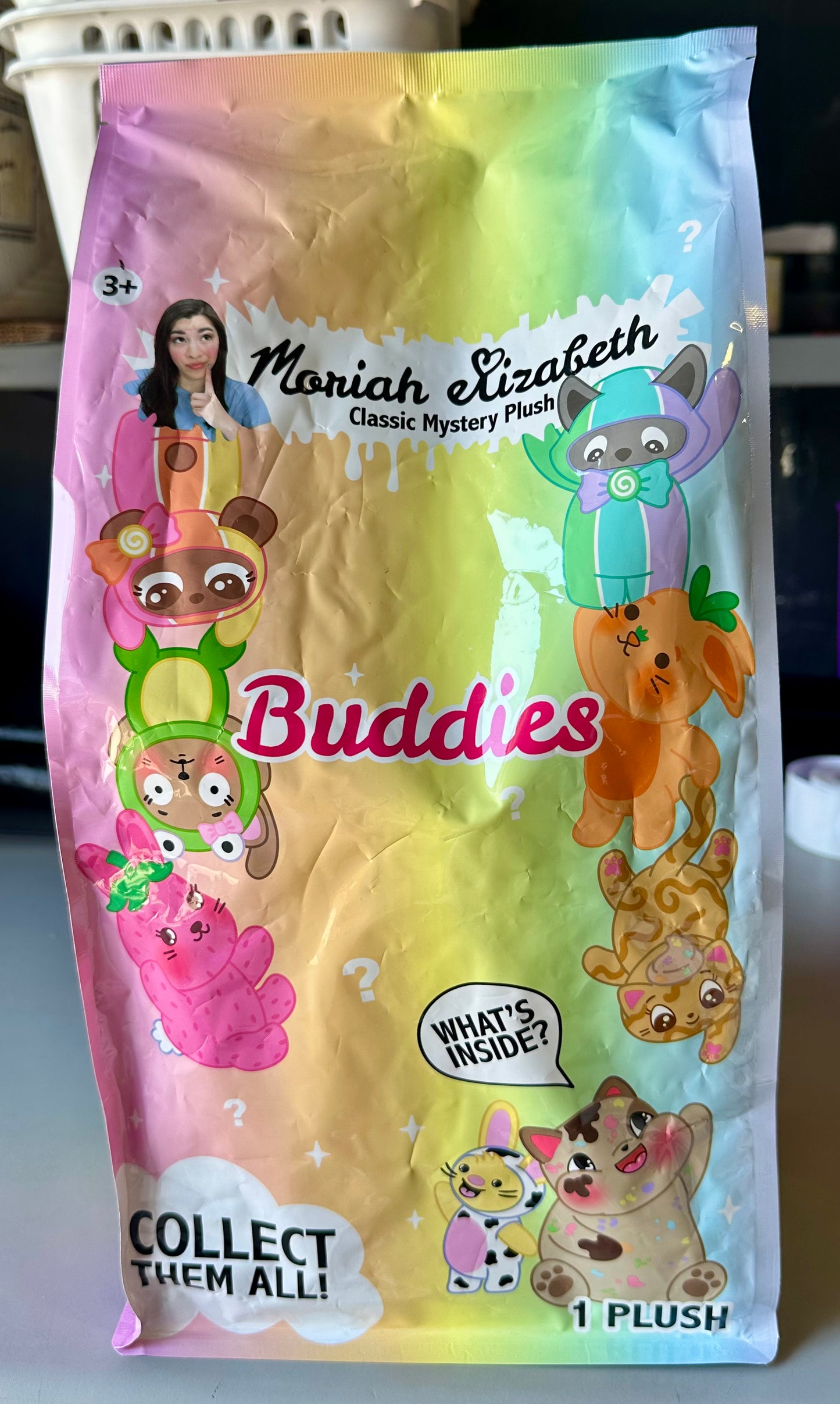 Moriah Elizabeth 11” Mystery Plush; YouTube Craft Channel, Blind Box, 1 of 8 Possible, Official Moriah Elizabeth Brand Merch