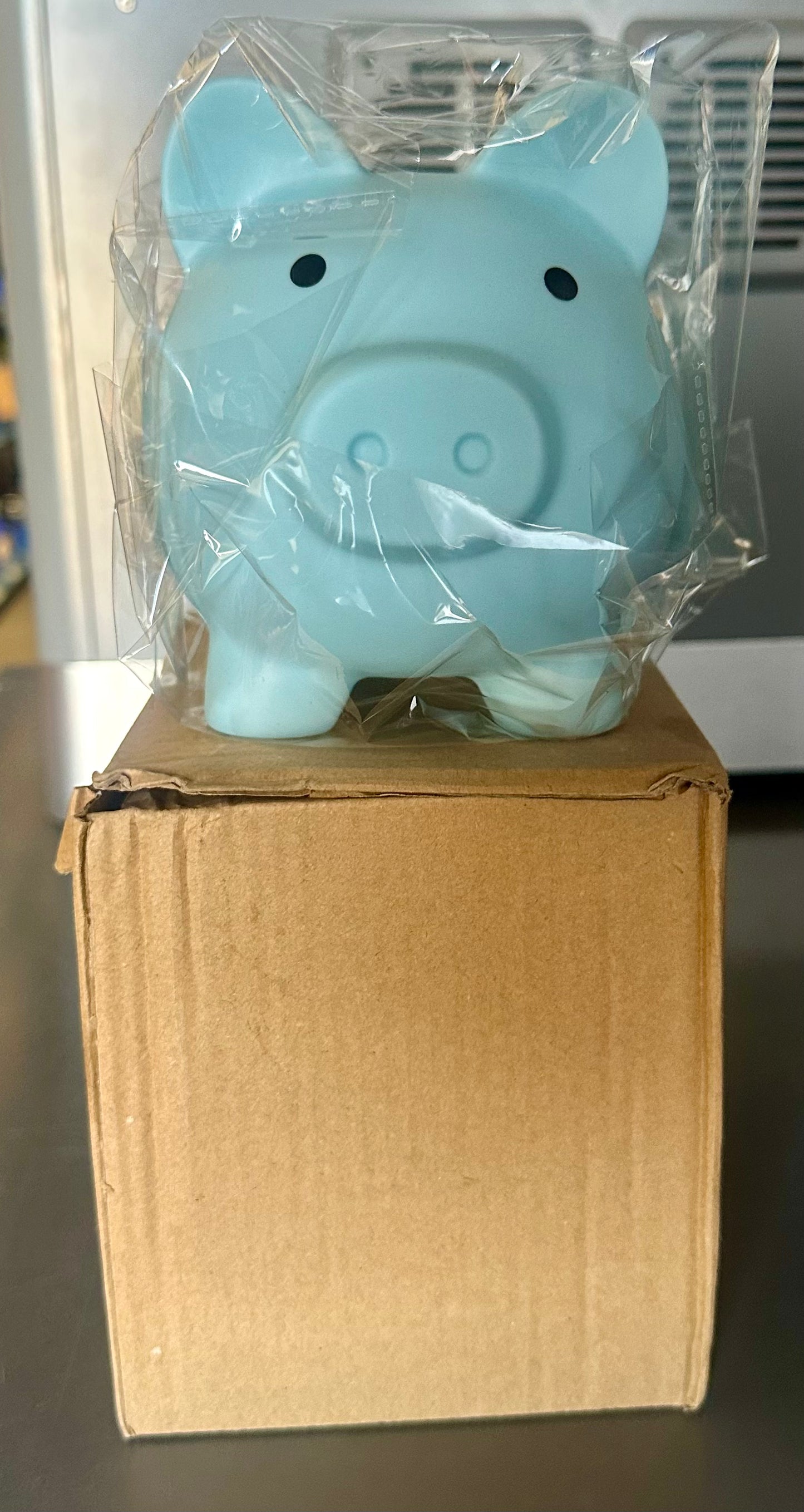 Piggy Bank, Unbreakable Plastic Money Bank, Coin Bank for Girls and Boys, Medium Size Piggy Bank, Practical Gift (Blue)