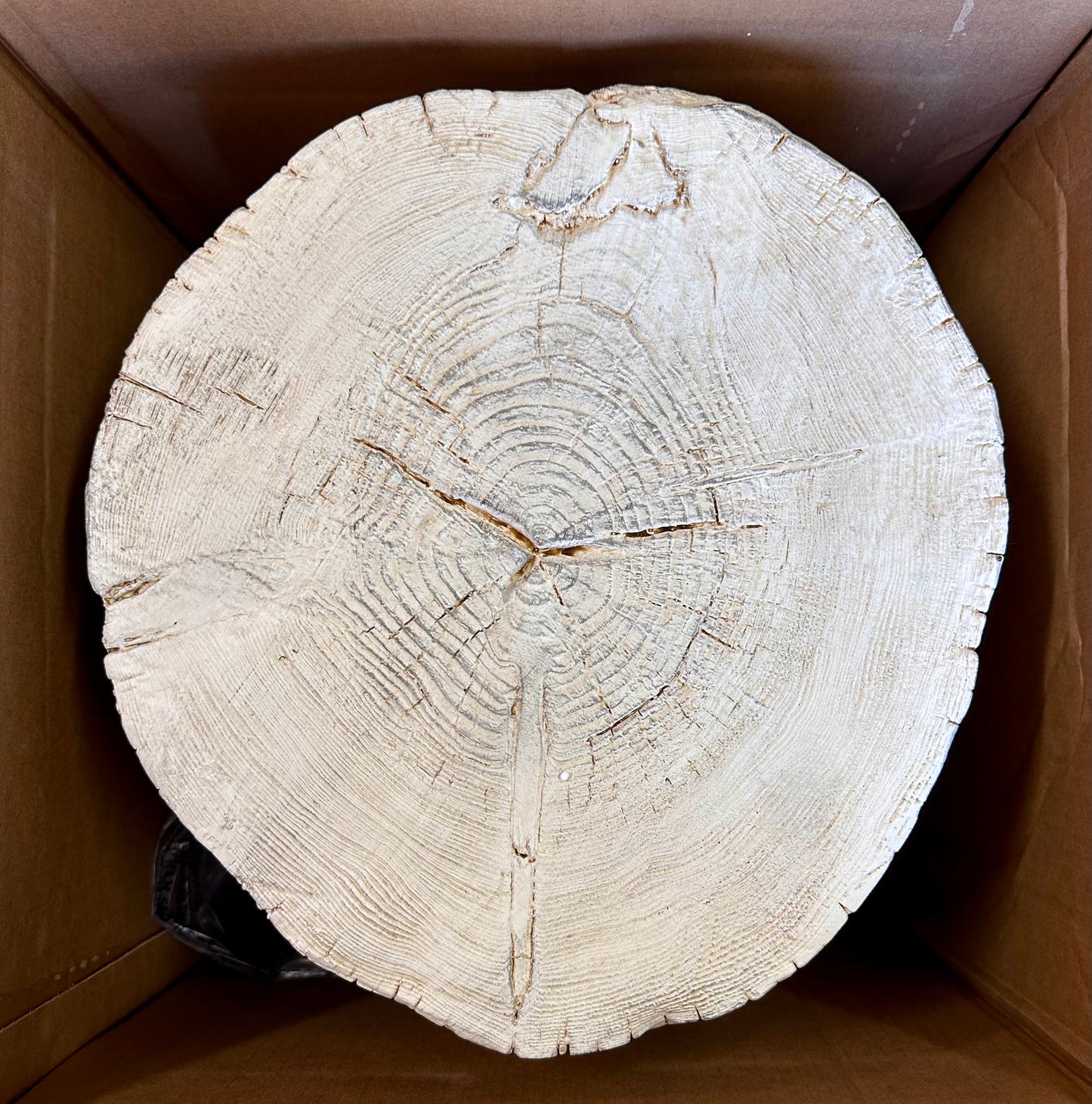 COSIEST Outdoor Antique Beige Side Table, Faux Wood, Hand-Painted Wood Stump Stool, Ottomans, Plant Stand, Decor (L1100)