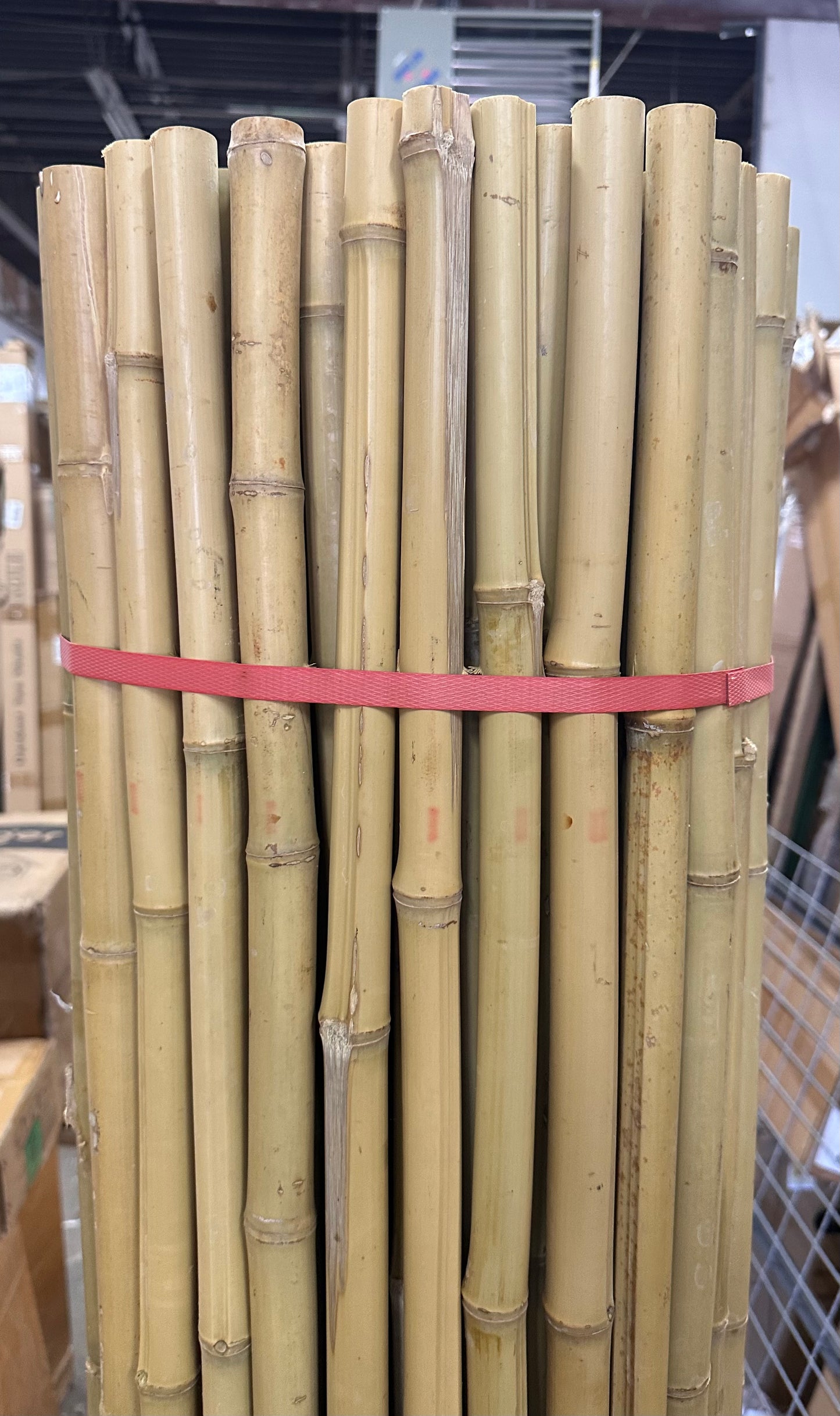 Backyard X-Scapes Natural Bamboo Fencing Decorative Rolled Fence Panel,  (1 in. D x 6 ft. H x 8 ft. Long) (G901)