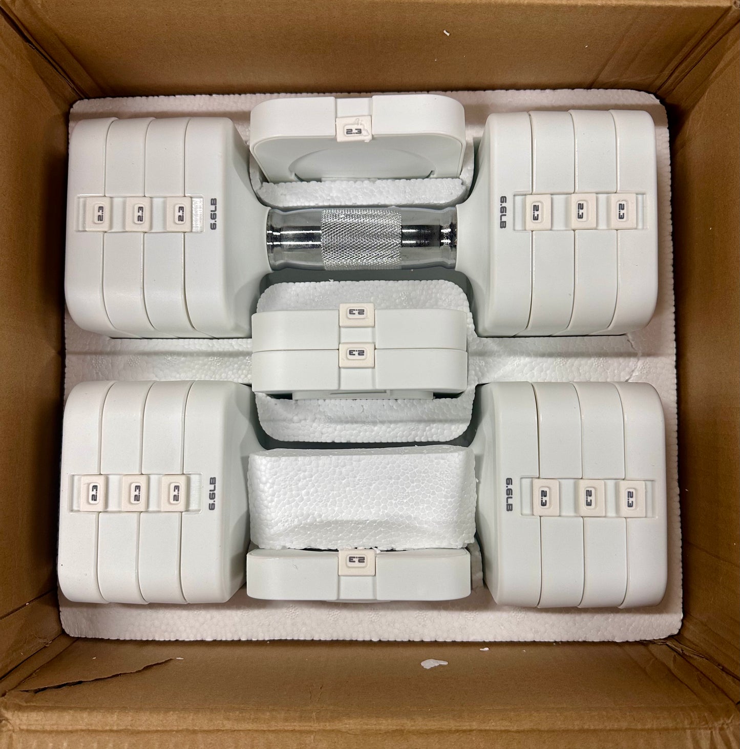 50LB Total (25LB each) Adjustable Dumbbell Set Free Weights Dumbbells Set, Adjustable Dumbbell Weight Set for Home Gym Workout, Strength Training (W547)