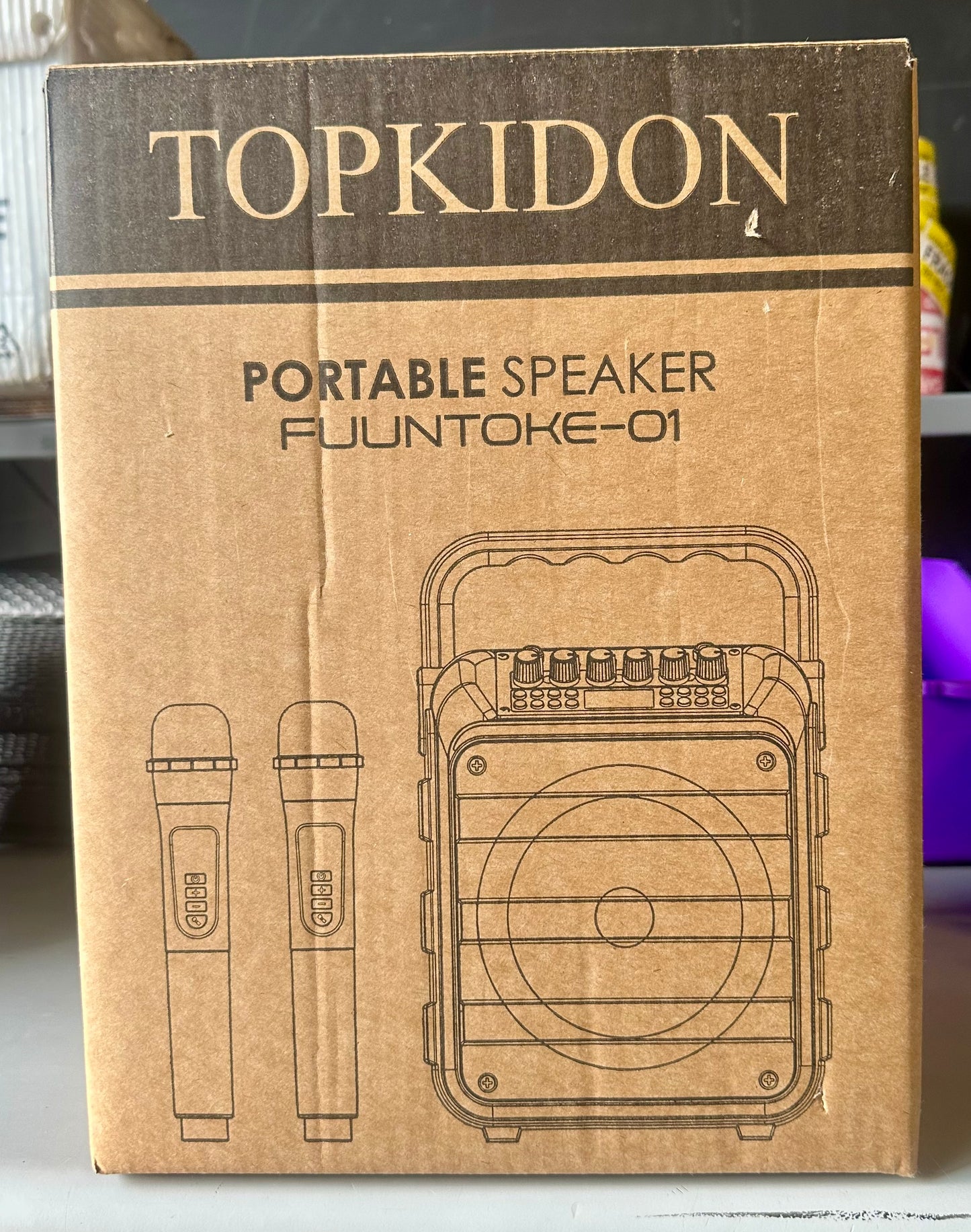 Karaoke Machine with Two Wireless Microphones, Portable Karaoke Speaker with LED Lights, Remite, Supports TF Card/USB, AUX in, FM, REC, TWS