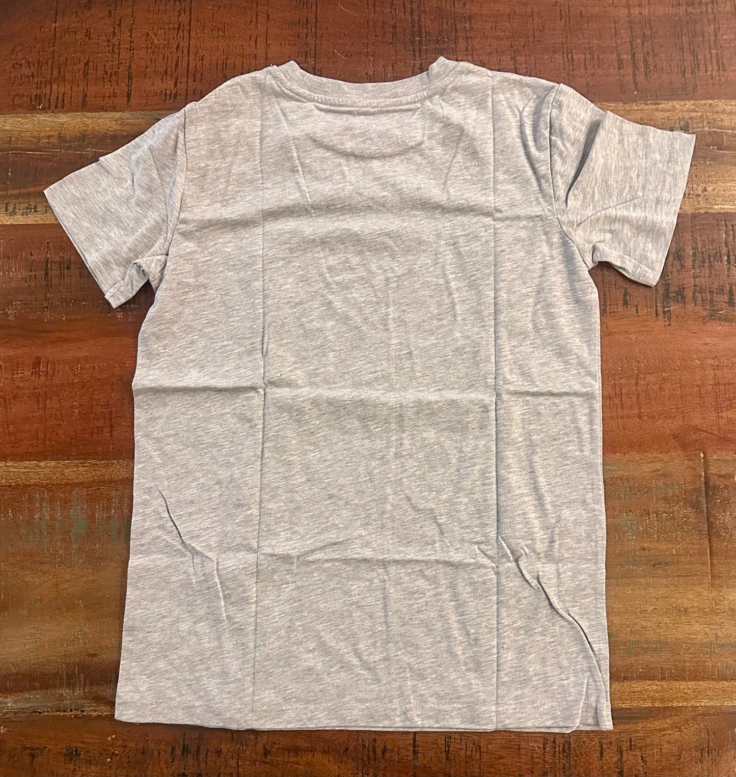 Champion Boys T-Shirt Short Sleeve Logo Tee Shirt for Boys (Size Youth Large)