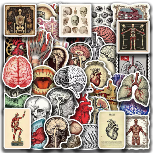 ‼️2 for $3‼️ 50Pcs Vintage Anatomy Stickers Nursing Body Part Stickers Human Anatomy Decals Skeleton Medical Brain Physiology Sticker Biology Sticker for Students Teachers