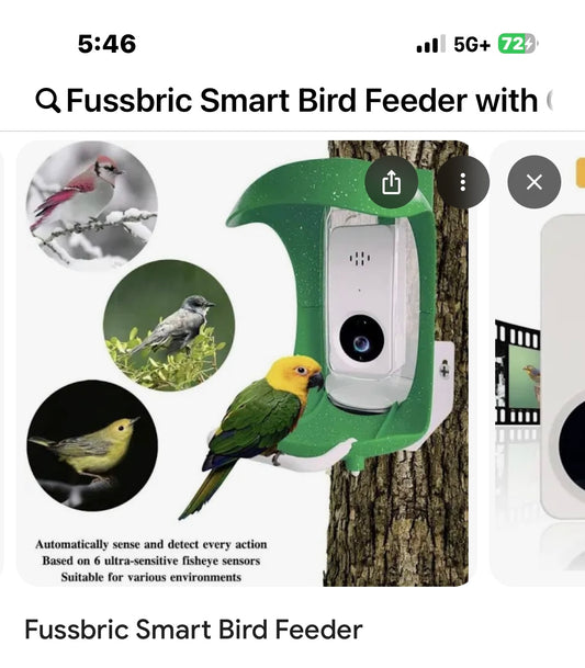 Fussbric Smart Bird Feeder with Camera, AI Recognition, Bird Sensing, WiFi APP Connection - Green