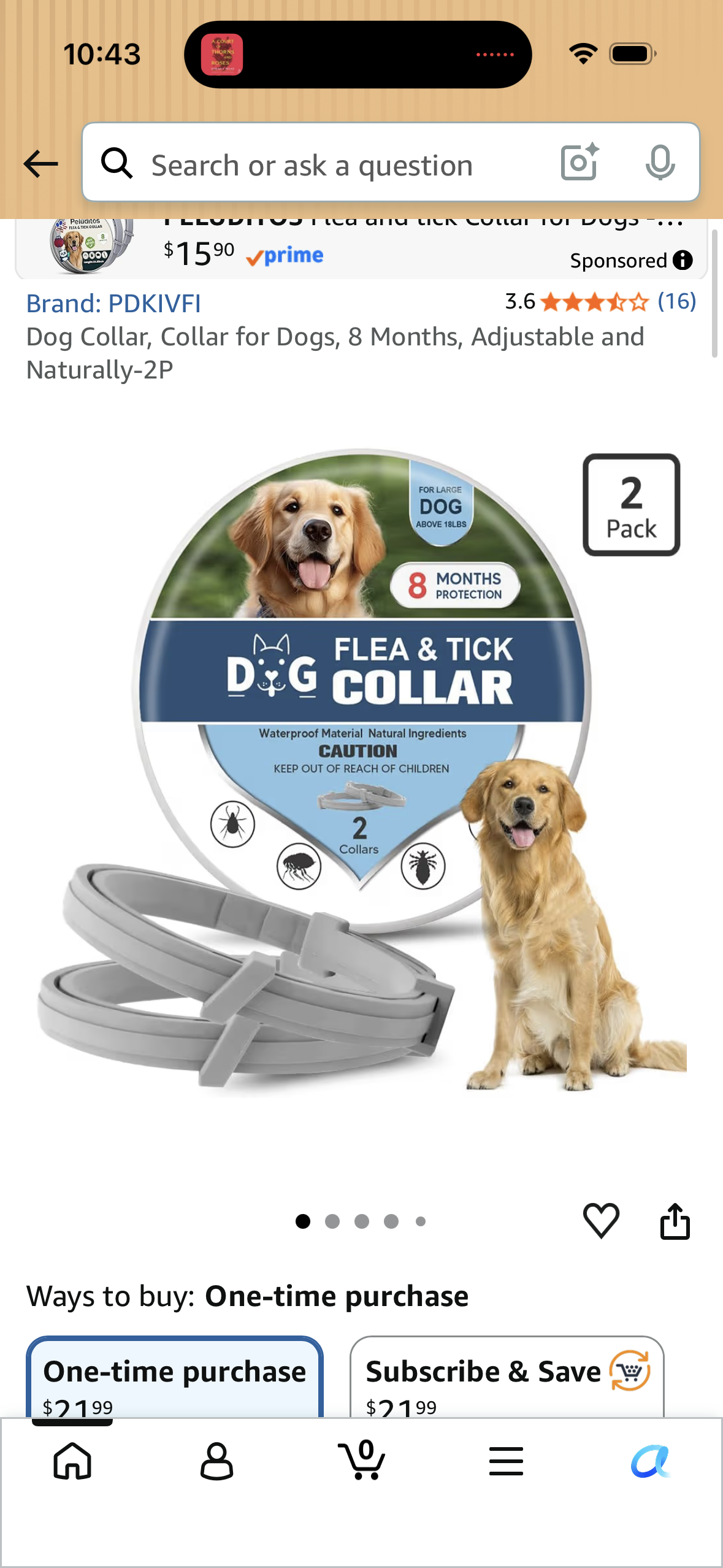 (Pack of 2) Dog Collar, Collar for Dogs, 8 Months, Adjustable and Naturally