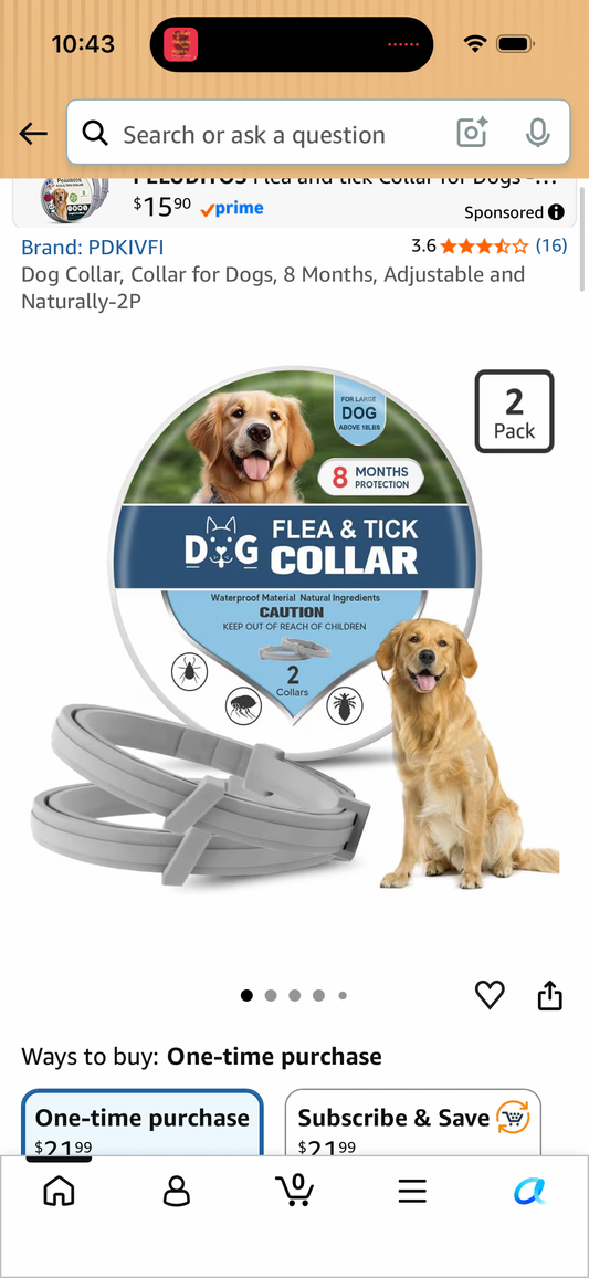 (Pack of 2) Dog Collar, Collar for Dogs, 8 Months, Adjustable and Naturally