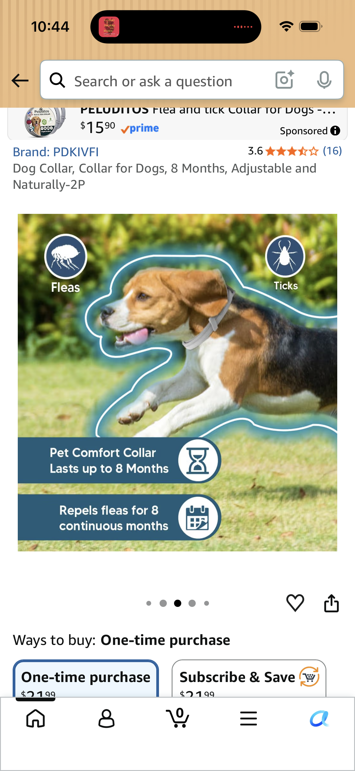(Pack of 2) Dog Collar, Collar for Dogs, 8 Months, Adjustable and Naturally