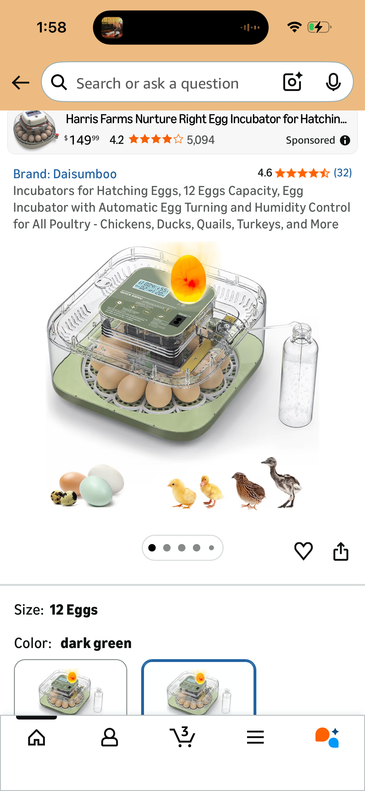 Incubators for Hatching Eggs, 12 Eggs Capacity, Egg Incubator with Automatic Egg Turning and Humidity Control for All Poultry - Chickens, Ducks, Quails, Turkeys, and More