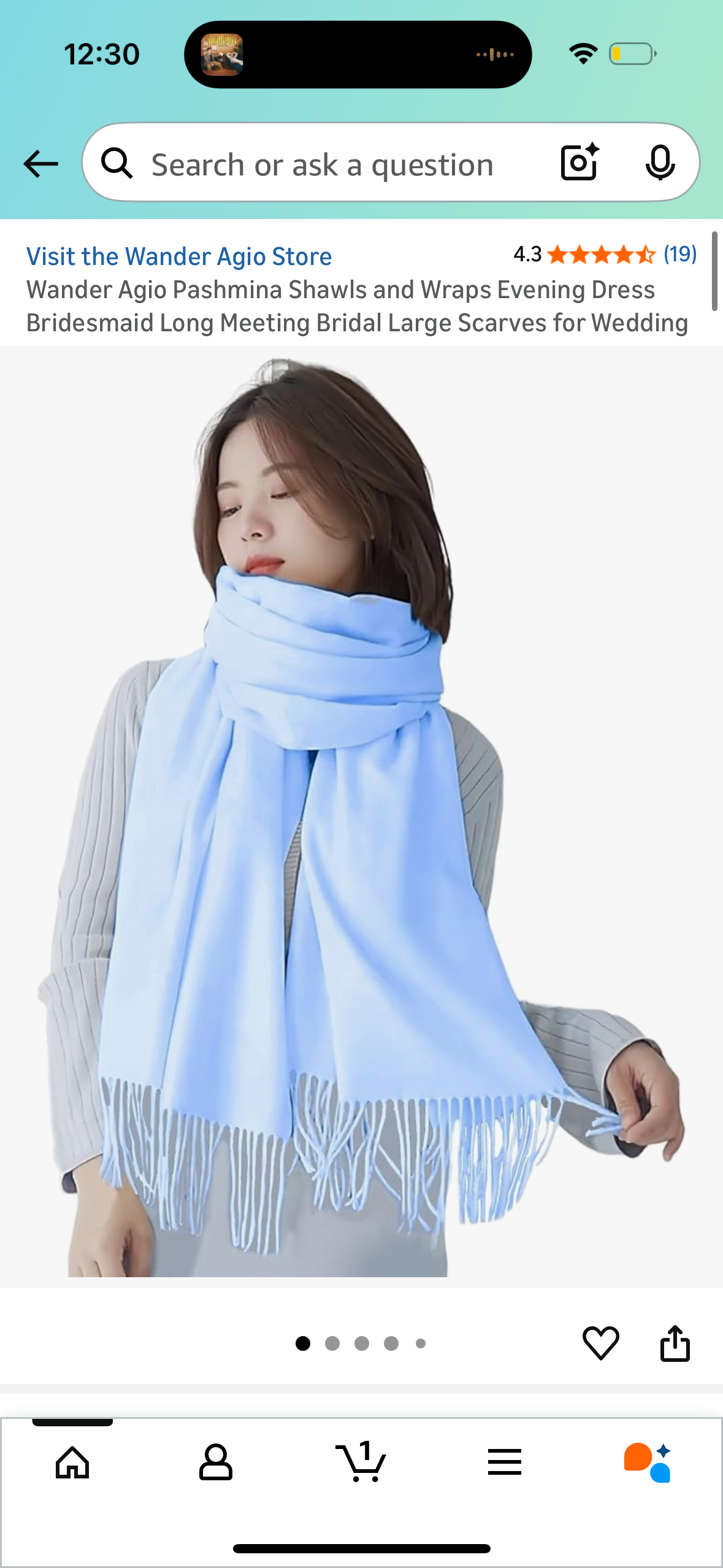 Wander Agio Pashmina Shawls and Wraps Evening Dress Bridesmaid Long Meeting Bridal Large Scarves for Wedding