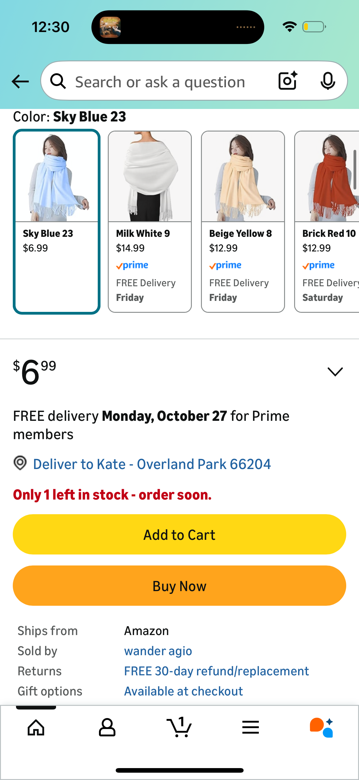 Wander Agio Pashmina Shawls and Wraps Evening Dress Bridesmaid Long Meeting Bridal Large Scarves for Wedding