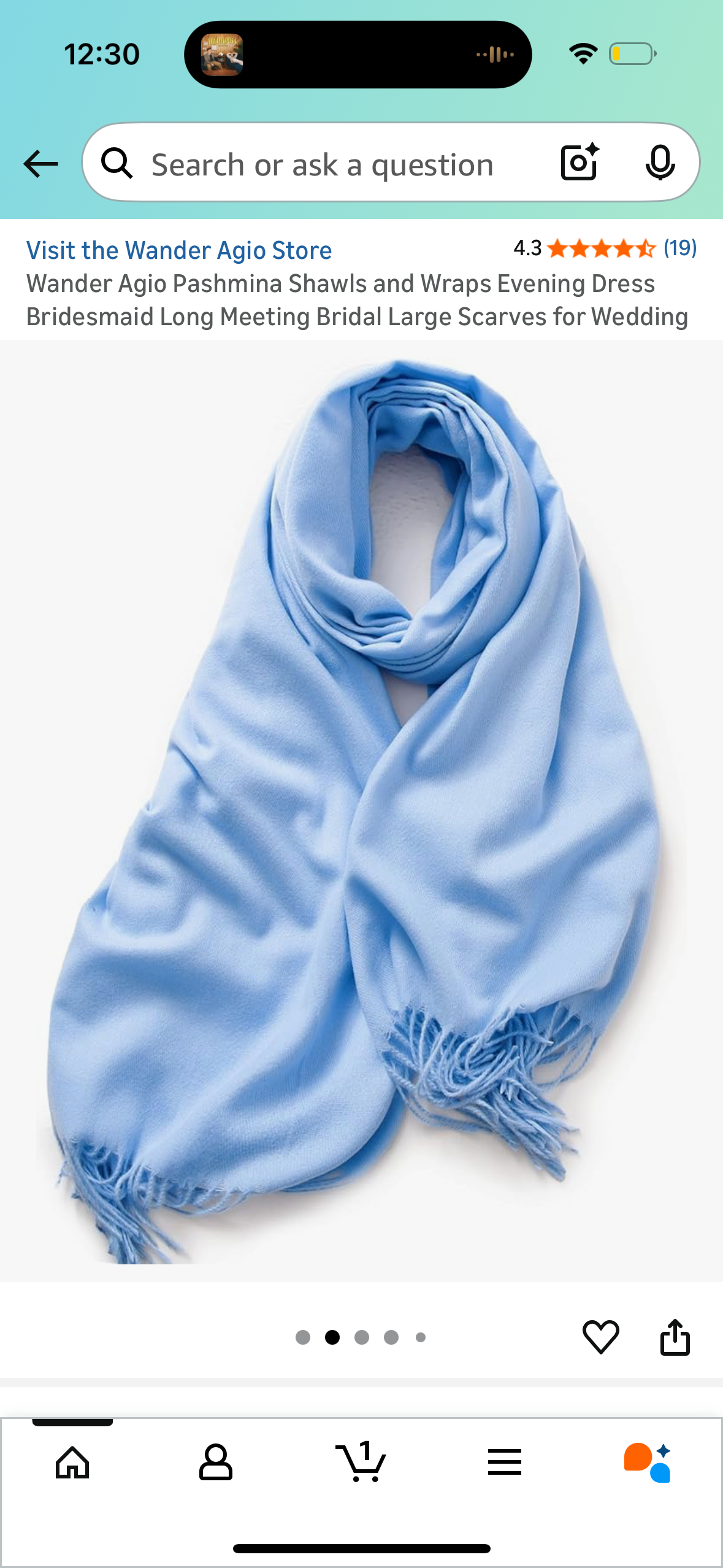 Wander Agio Pashmina Shawls and Wraps Evening Dress Bridesmaid Long Meeting Bridal Large Scarves for Wedding