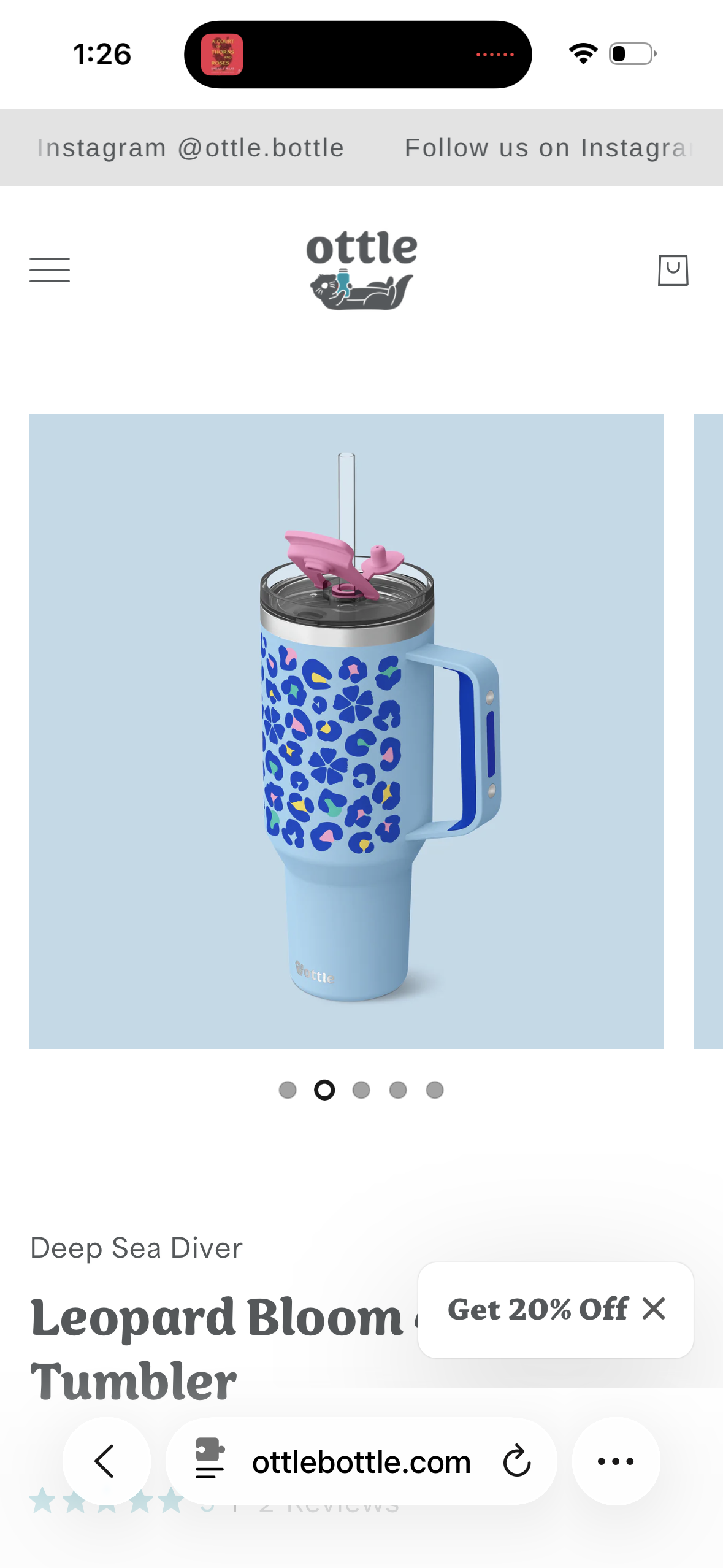 Ottle Deep Sea Diver 40 oz Insulated Tumbler with Handle and Straw Lid - Leak Proof, Cupholder Friendly Travel Mug - Stainless Steel Double Wall Water Bottle for Hot and Cold Drinks - Leopard Bloom