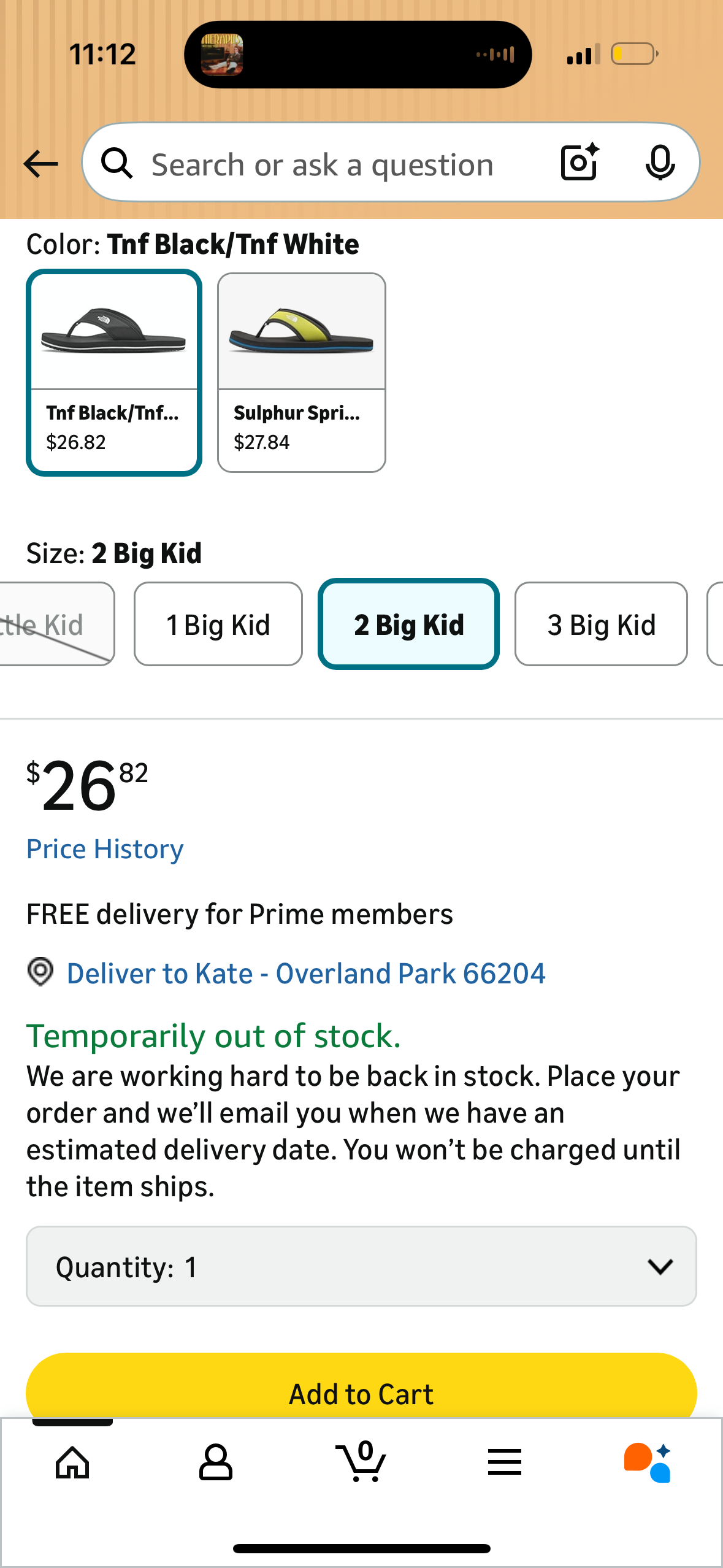 The North Face Youth Base Camp Flip-Flops (Big Kid's Size 2 - 8 inches)