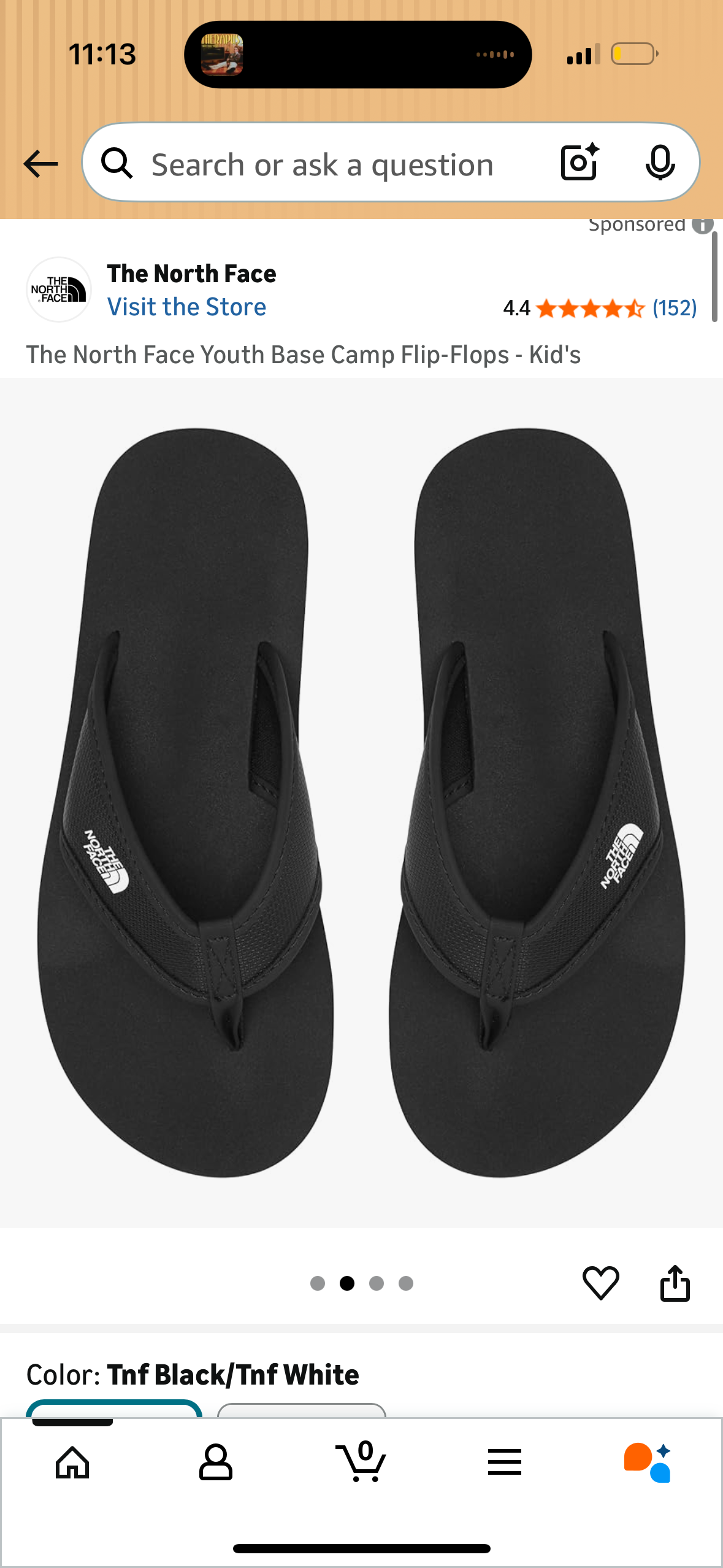 The North Face Youth Base Camp Flip-Flops (Big Kid's Size 2 - 8 inches)