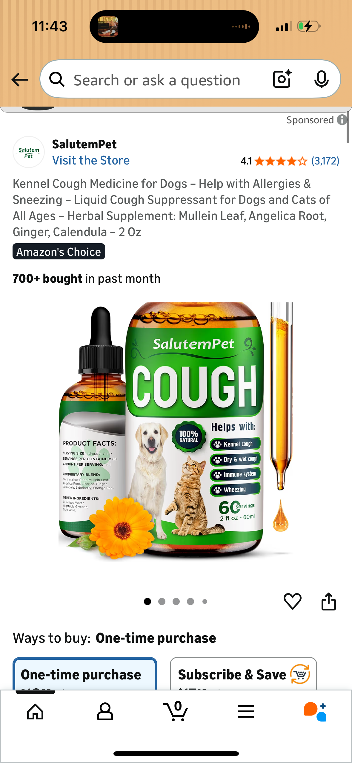 Kennel Cough Medicine for Dogs – Help with Allergies & Sneezing – Liquid Cough Suppressant for Dogs and Cats of All Ages – Herbal Supplement: Mullein Leaf, Angelica Root, Ginger, Calendula – 2 Oz