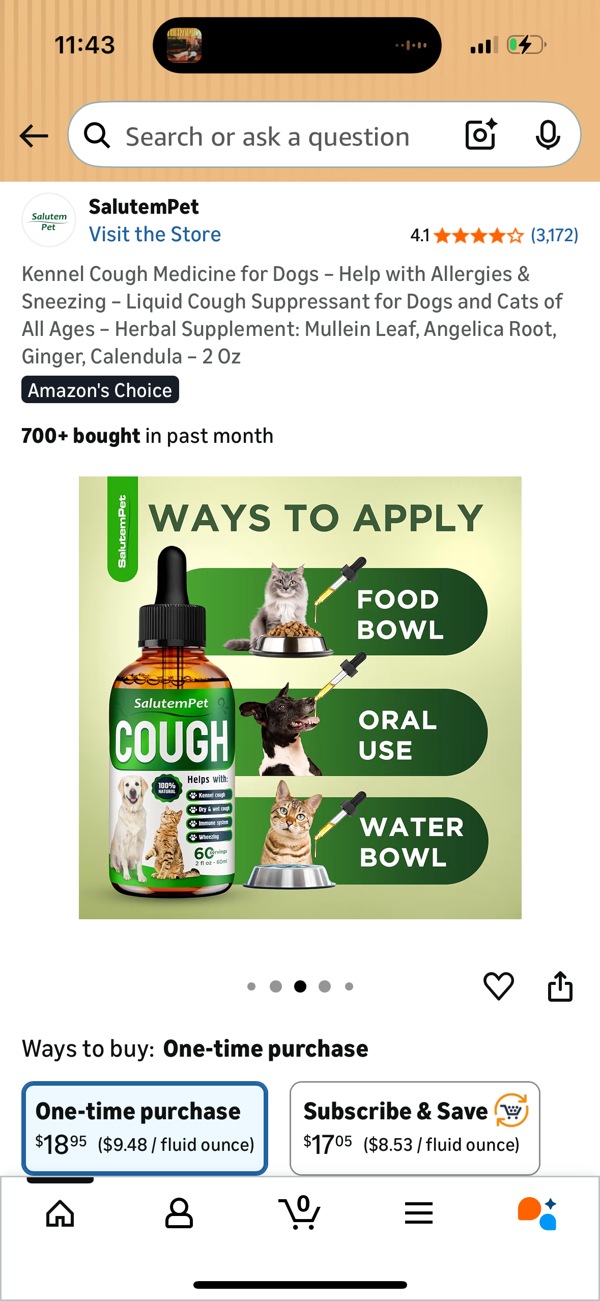 Kennel Cough Medicine for Dogs – Help with Allergies & Sneezing – Liquid Cough Suppressant for Dogs and Cats of All Ages – Herbal Supplement: Mullein Leaf, Angelica Root, Ginger, Calendula – 2 Oz