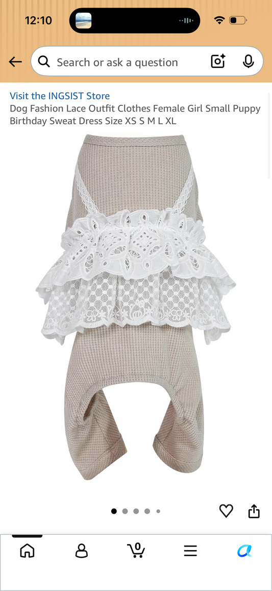 Dog Fashion Lace Outfit Clothes Female Girl Small Puppy Birthday Sweat Dress (Size Large)
