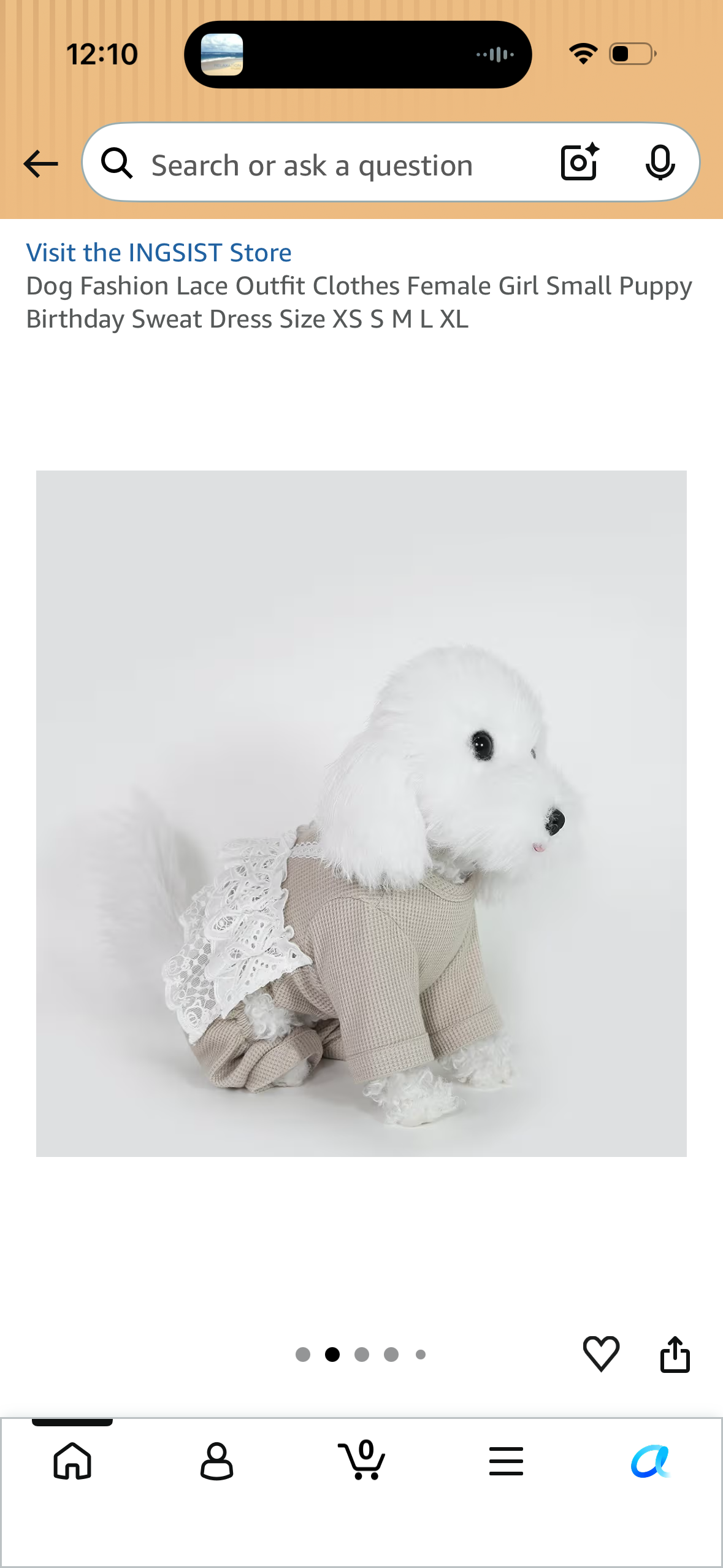 Dog Fashion Lace Outfit Clothes Female Girl Small Puppy Birthday Sweat Dress (Size Large)