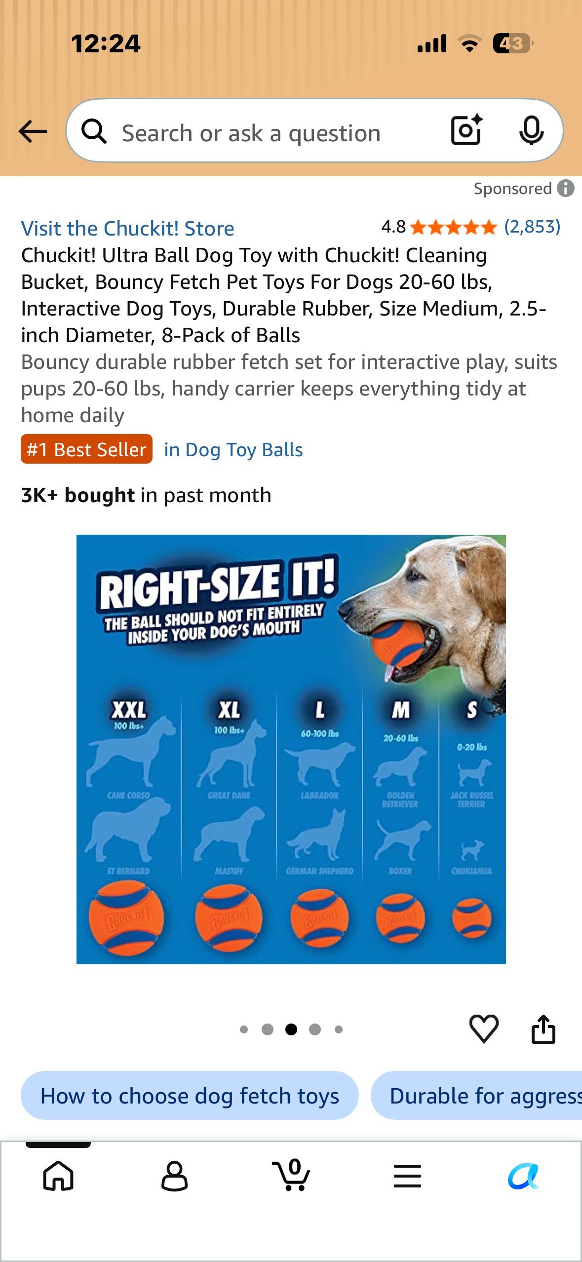 Chuckit! Ultra Ball Dog Toy with Chuckit! Cleaning Bucket, Bouncy Fetch Pet Toys For Dogs 20-60 lbs, Interactive Dog Toys, Durable Rubber, Size Medium, 2.5-inch Diameter, 8-Pack of Balls