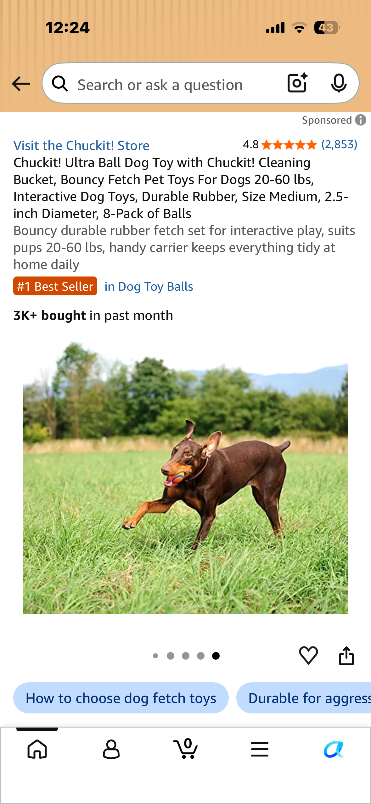 Chuckit! Ultra Ball Dog Toy with Chuckit! Cleaning Bucket, Bouncy Fetch Pet Toys For Dogs 20-60 lbs, Interactive Dog Toys, Durable Rubber, Size Medium, 2.5-inch Diameter, 8-Pack of Balls