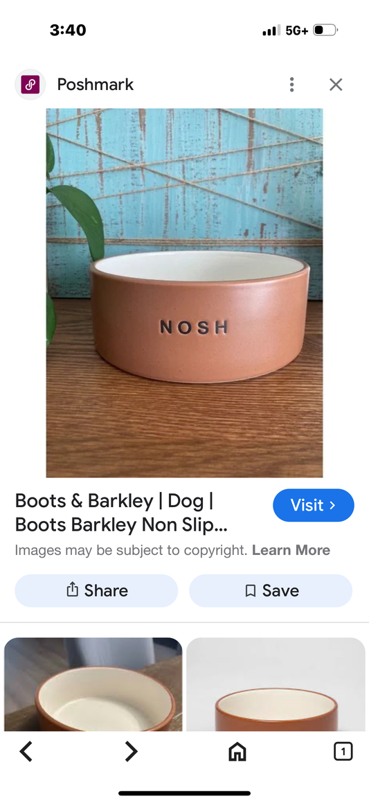Boots and Barkley Nosh 4 Cup Ceramic Dog Bowl