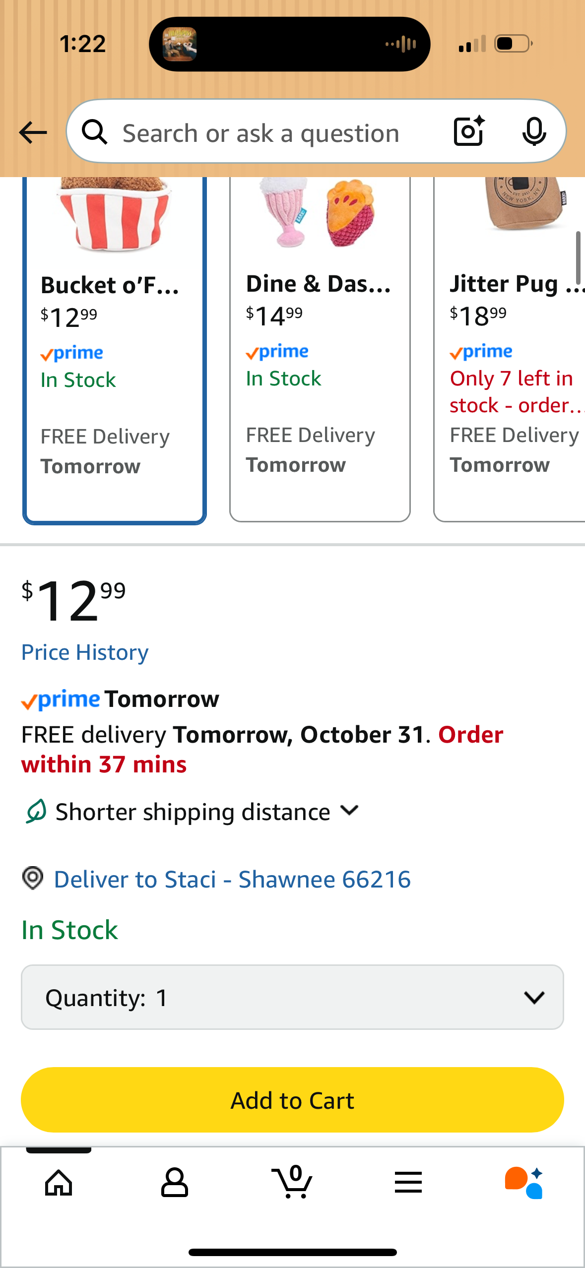 Barkbox 2 in 1 Interactive Plush Dog Toy - Rip and Reveal Toy for Dogs and Puppies - Stimulating Squeaky Pet Toys | Bucket o' Fried Licken