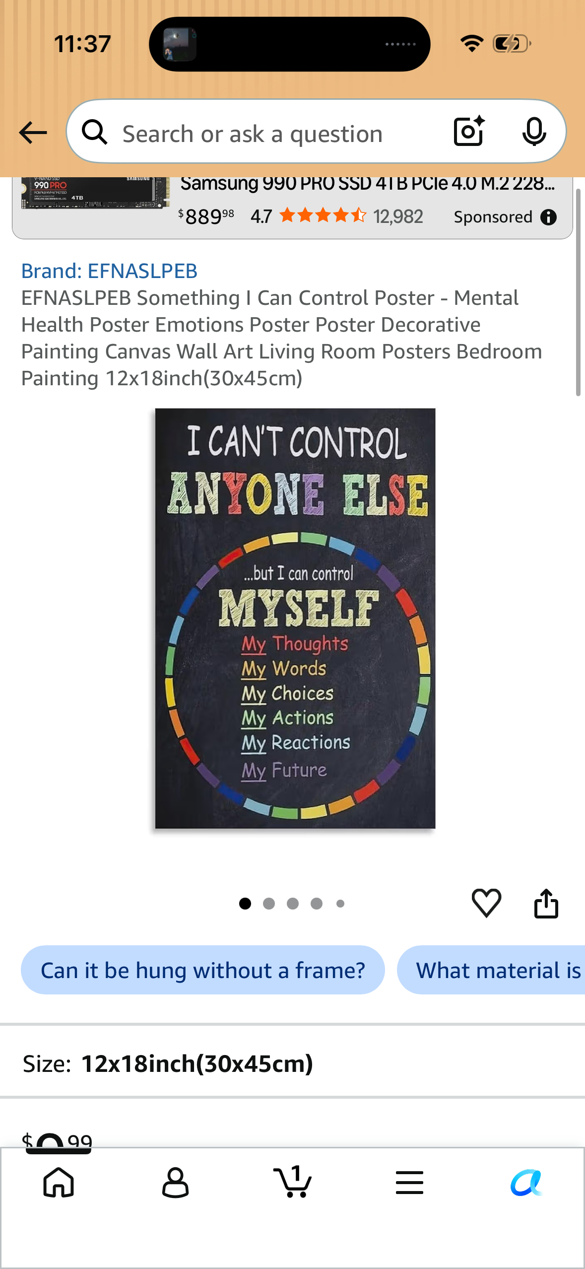 EFNASLEB Something | Can Control Poster - Mental Health Poster Emotions Poster Poster Decorative Painting Canvas Wall Art Living Room Posters Bedroom Painting 12x18inch (30x45cm)