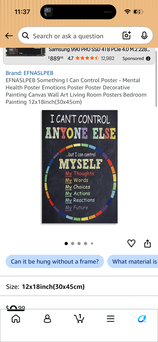 EFNASLEB Something | Can Control Poster - Mental Health Poster Emotions Poster Poster Decorative Painting Canvas Wall Art Living Room Posters Bedroom Painting 12x18inch (30x45cm)