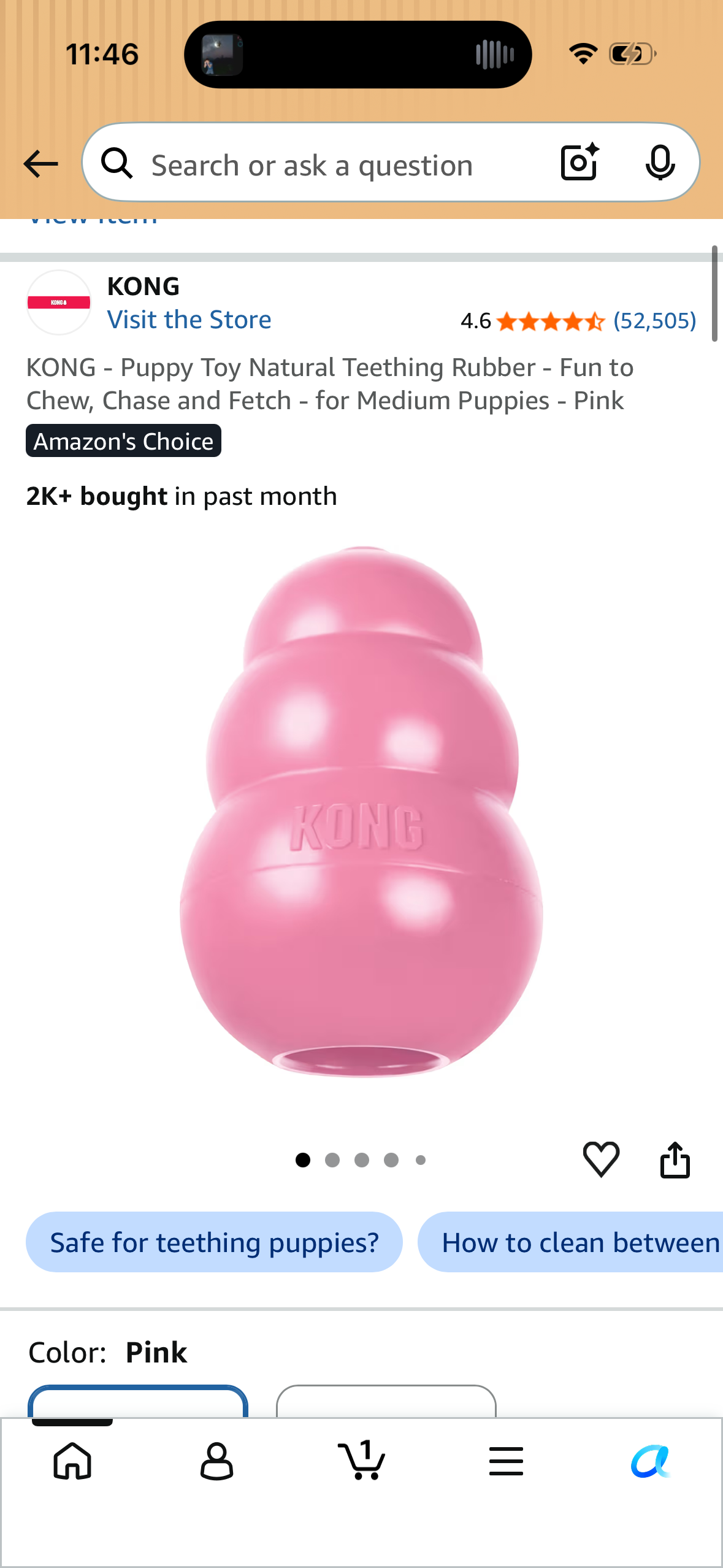 KONG - Puppy Toy Natural Teething Rubber - Fun to Chew, Chase and Fetch - for Medium Puppies - Pink