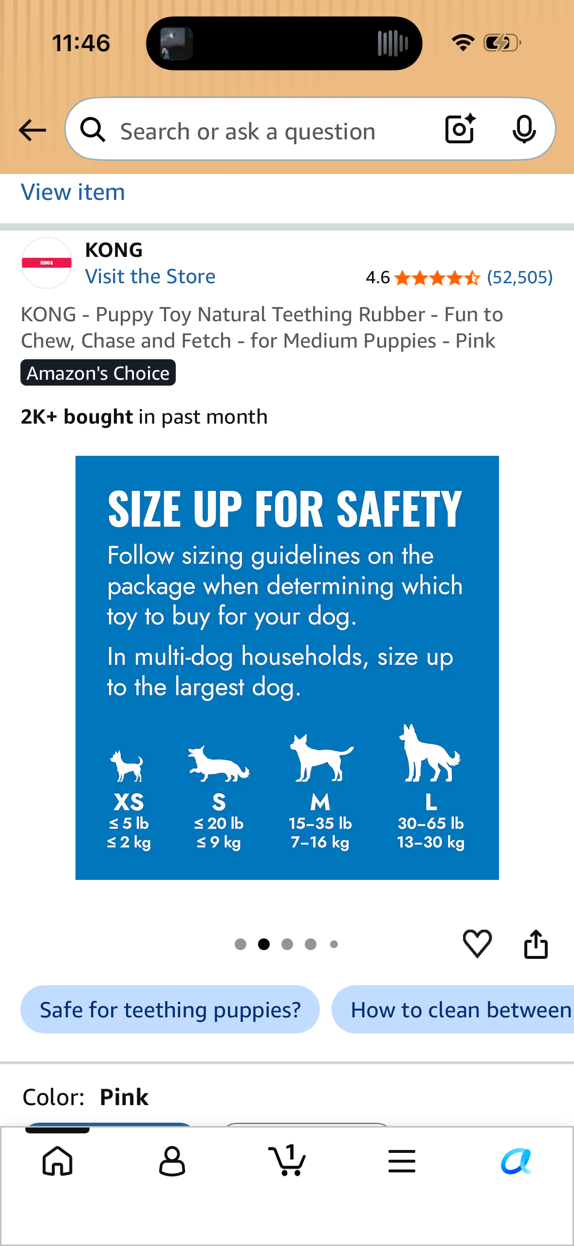 KONG - Puppy Toy Natural Teething Rubber - Fun to Chew, Chase and Fetch - for Medium Puppies - Pink