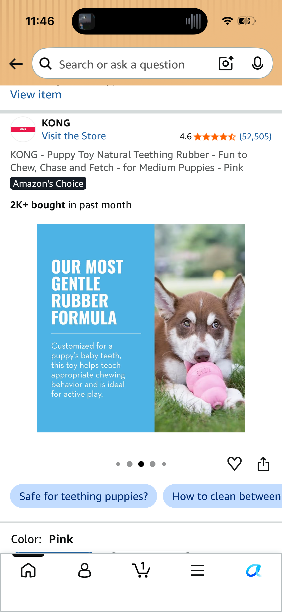KONG - Puppy Toy Natural Teething Rubber - Fun to Chew, Chase and Fetch - for Medium Puppies - Pink