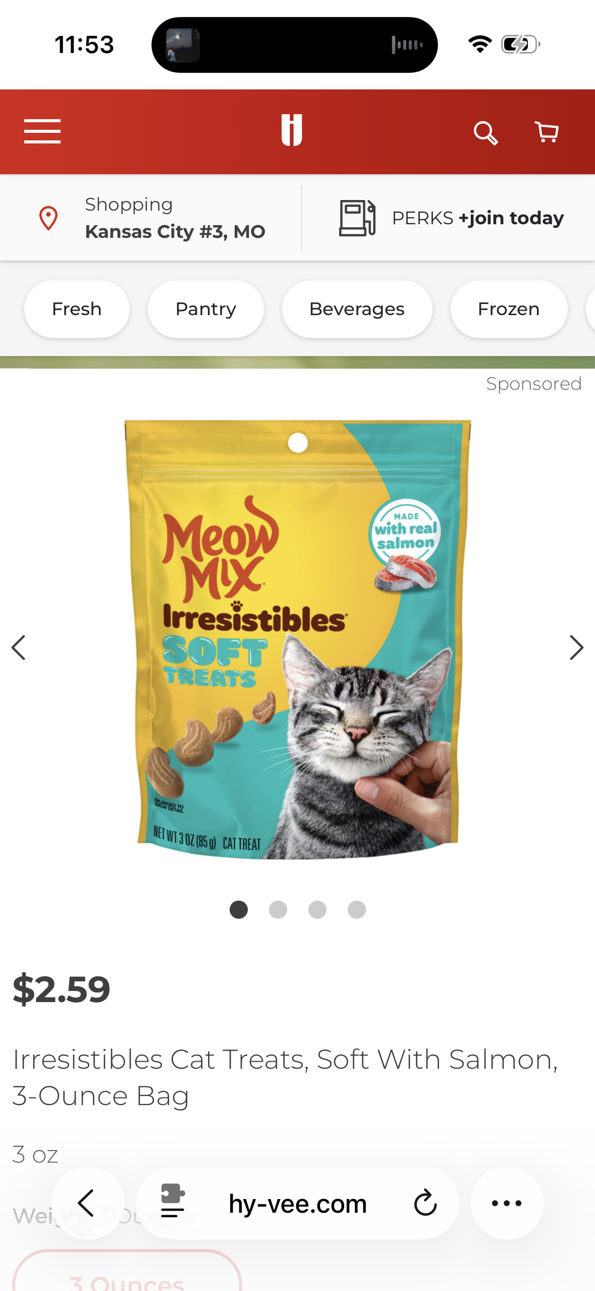 ‼️2 for $2‼️ Meow Mix Irresistibles Soft Cat Treats Made With Real Salmon, 3 Oz. Pouch