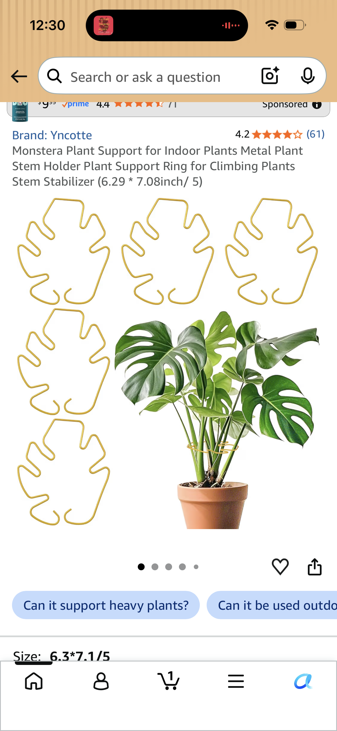 Monstera Plant Support for Indoor Plants Metal Plant Stem Holder Plant Support Ring for Climbing Plants Stem Stabilizer (6.29 * 7.08inch/ 5)