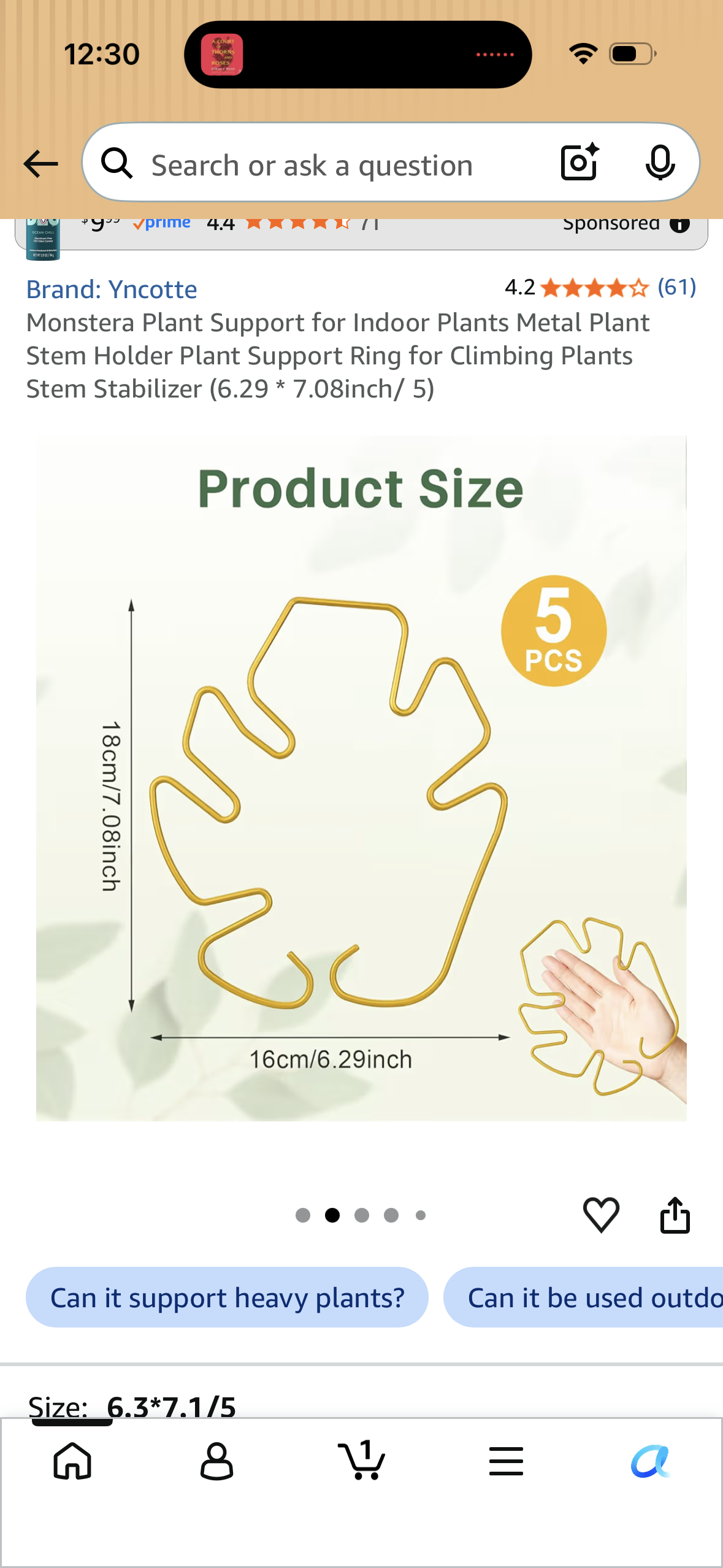 Monstera Plant Support for Indoor Plants Metal Plant Stem Holder Plant Support Ring for Climbing Plants Stem Stabilizer (6.29 * 7.08inch/ 5)