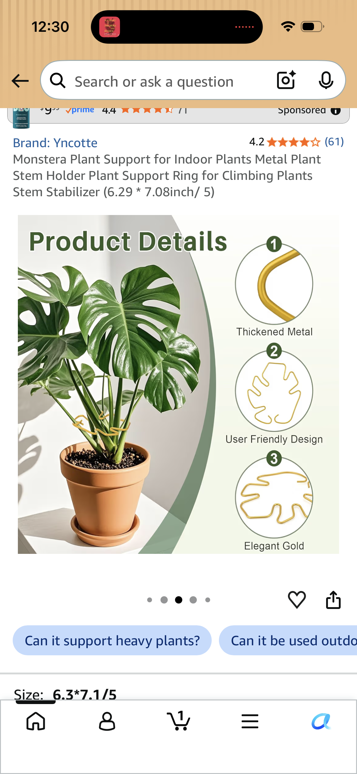 Monstera Plant Support for Indoor Plants Metal Plant Stem Holder Plant Support Ring for Climbing Plants Stem Stabilizer (6.29 * 7.08inch/ 5)