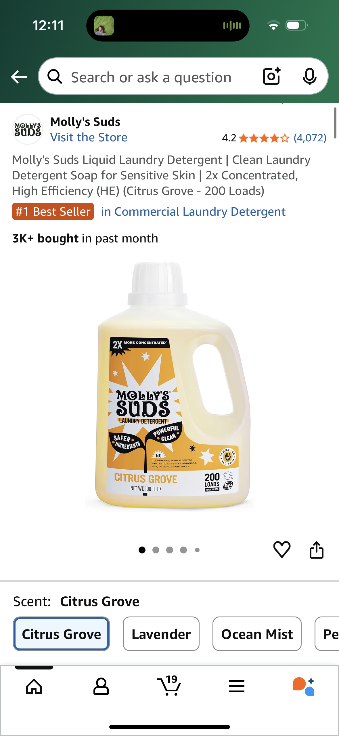 Molly's Suds Liquid Laundry Detergent | Clean Laundry Detergent Soap for Sensitive Skin | 2x Concentrated, High Efficiency (HE) (Citrus Grove - 200 Loads)