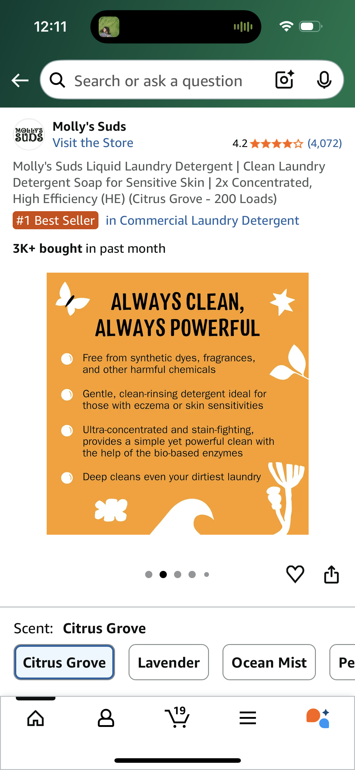 Molly's Suds Liquid Laundry Detergent | Clean Laundry Detergent Soap for Sensitive Skin | 2x Concentrated, High Efficiency (HE) (Citrus Grove - 200 Loads)