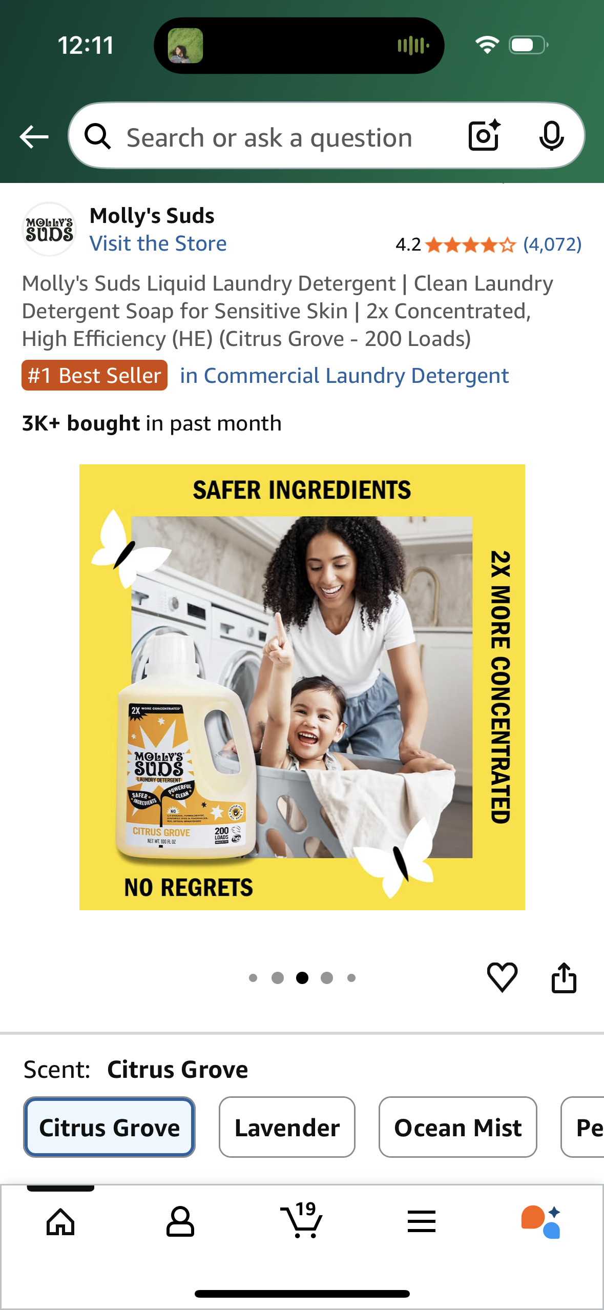 Molly's Suds Liquid Laundry Detergent | Clean Laundry Detergent Soap for Sensitive Skin | 2x Concentrated, High Efficiency (HE) (Citrus Grove - 200 Loads)