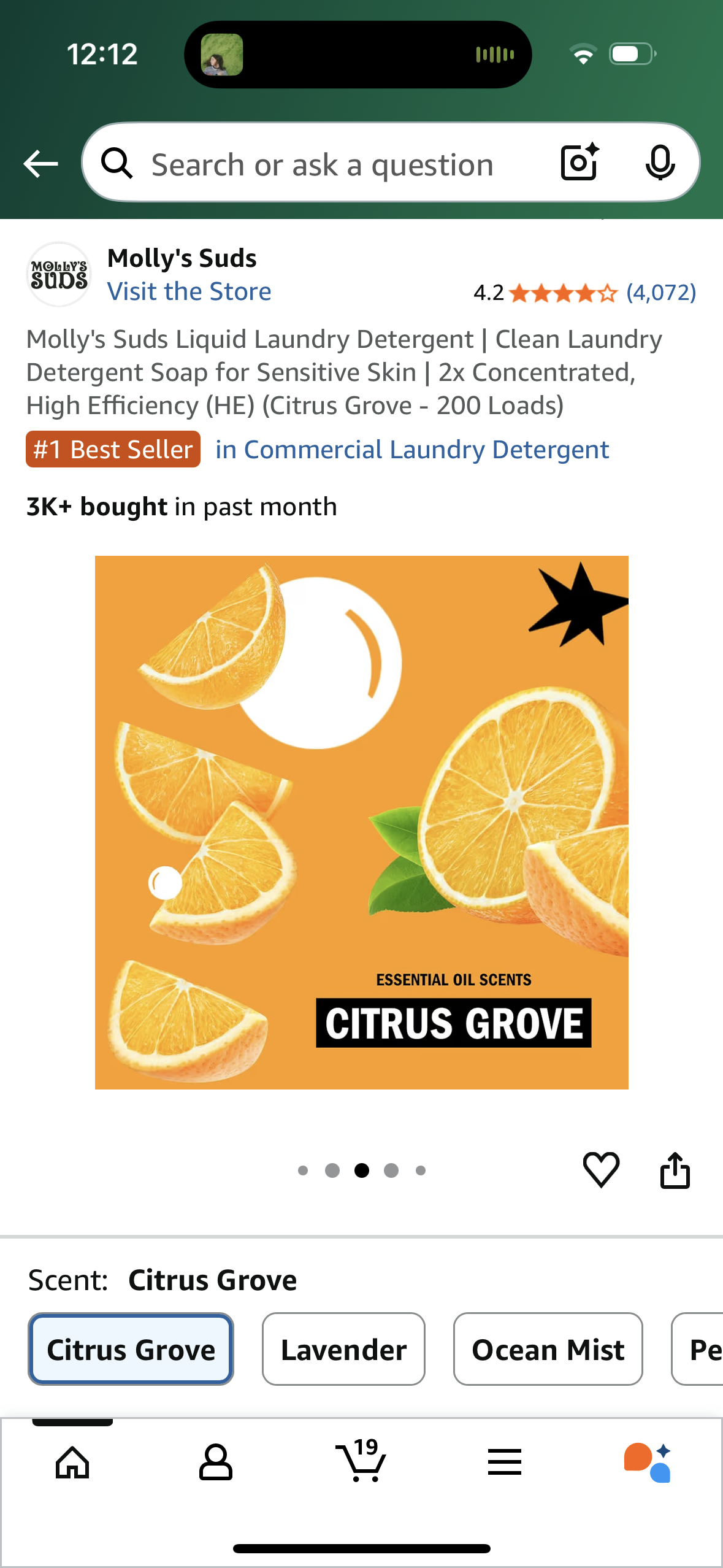 Molly's Suds Liquid Laundry Detergent | Clean Laundry Detergent Soap for Sensitive Skin | 2x Concentrated, High Efficiency (HE) (Citrus Grove - 200 Loads)