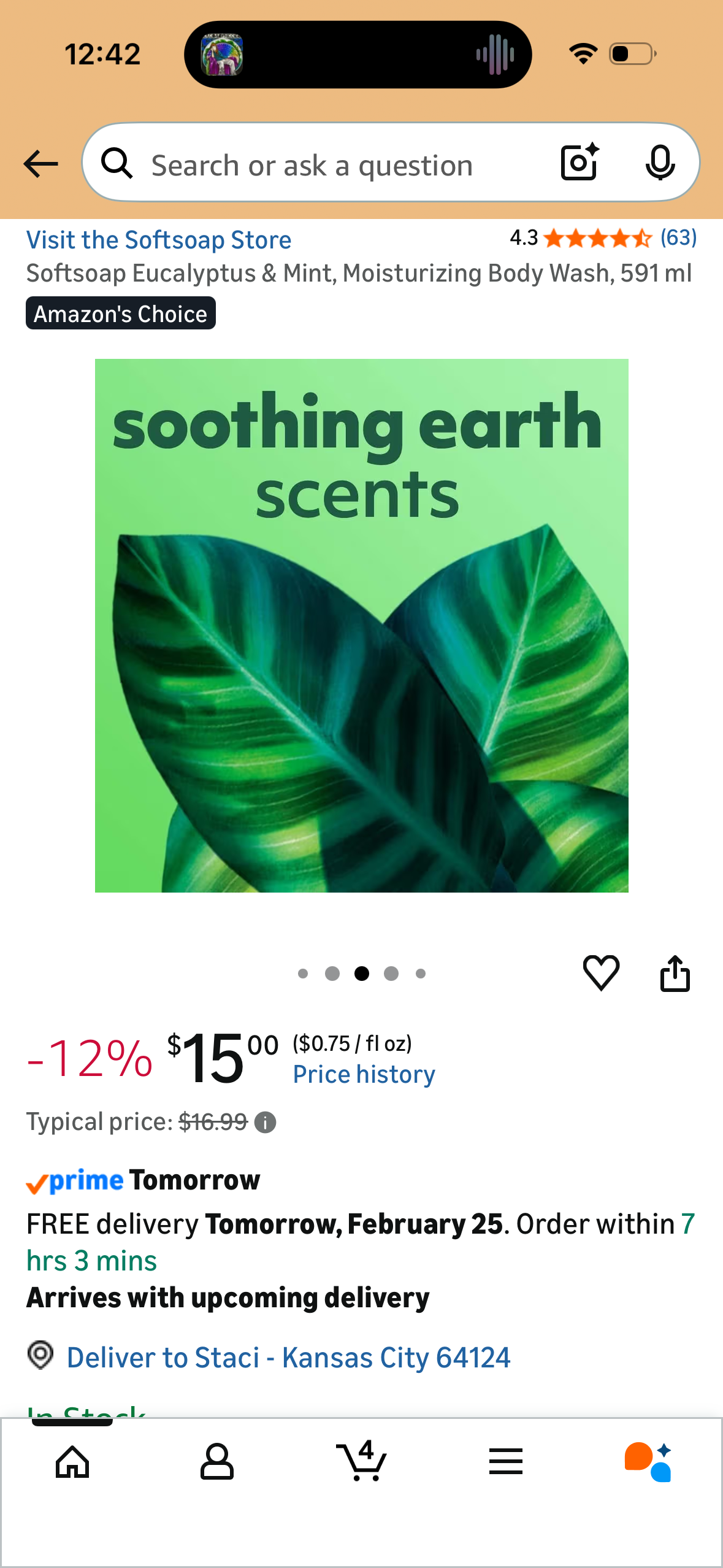 Softsoap Eucalyptus & Mint, Moisturizing Body Wash, 591 ml