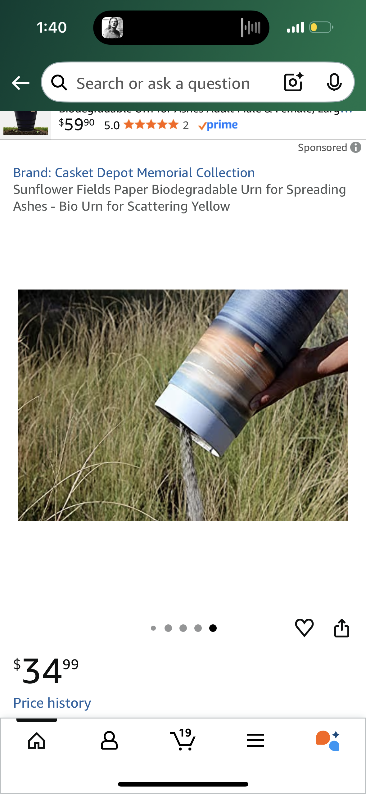 Sunflower Fields Paper Biodegradable Urn for Spreading Ashes - Bio Urn for Scattering Yellow